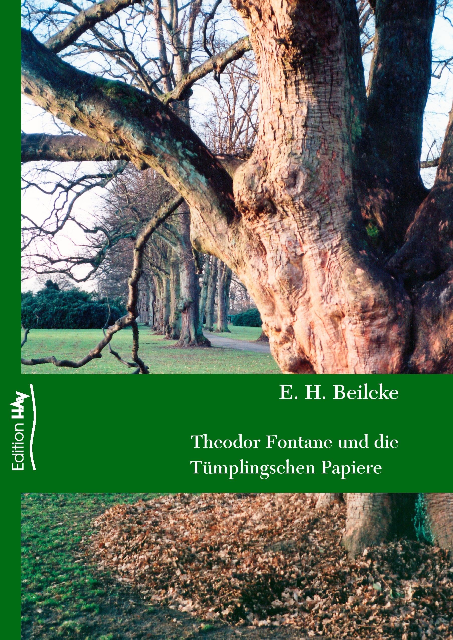 Theodor Fontane und die Tümplingschen Papiere book