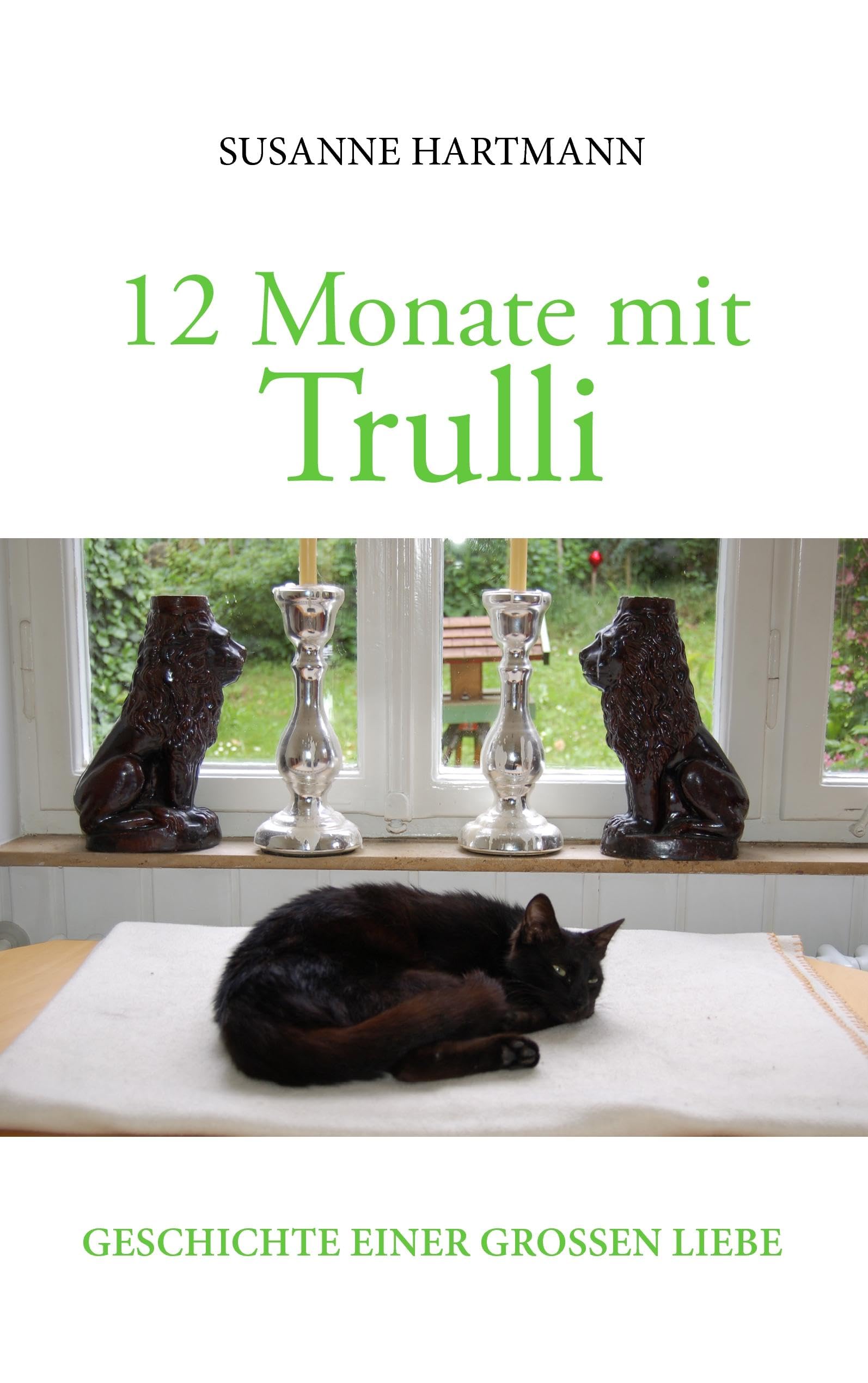 12 Monate mit Trulli Contemporary literature Books