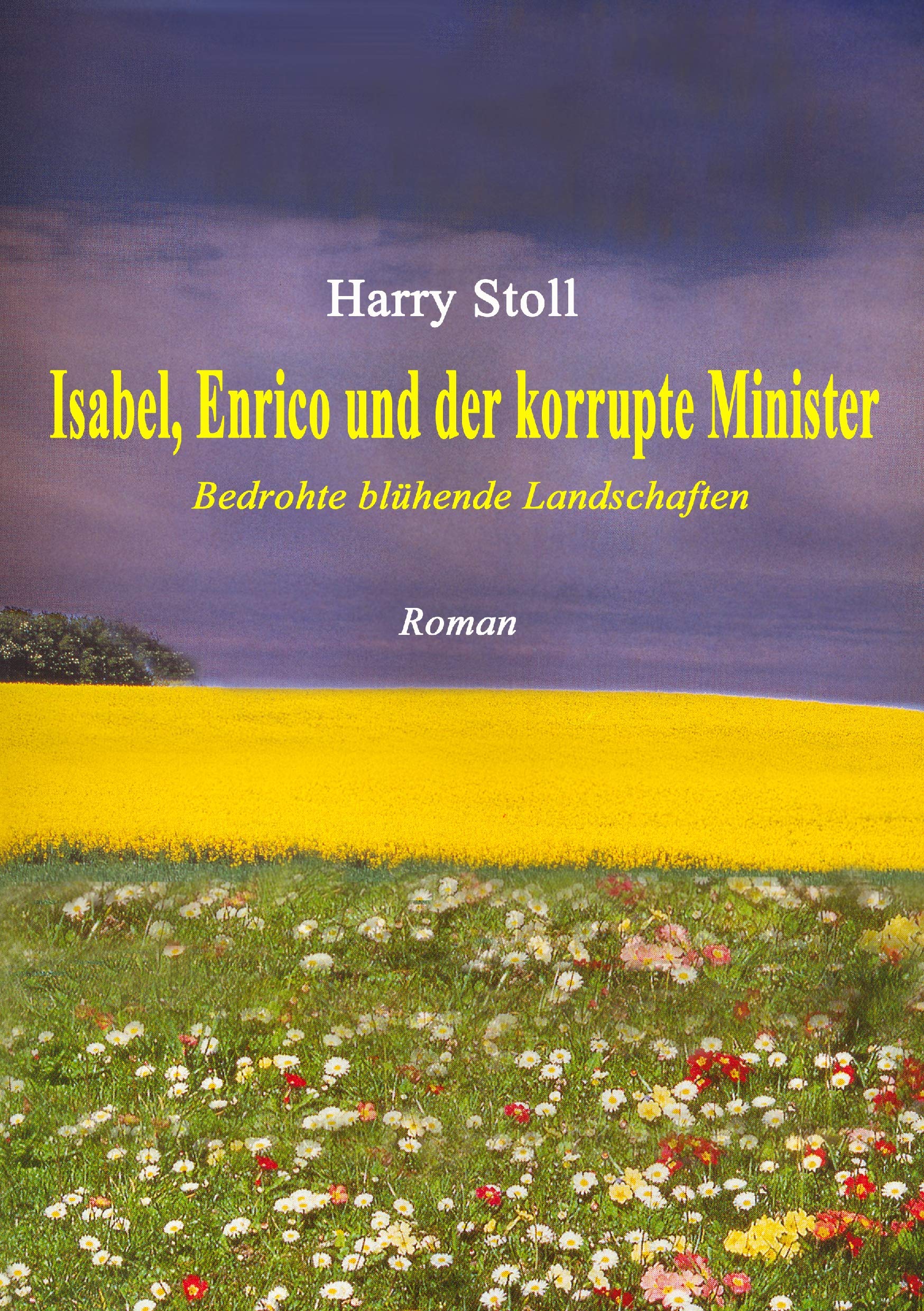 Isabel, Enrico und der korrupte Minister Contemporary literature