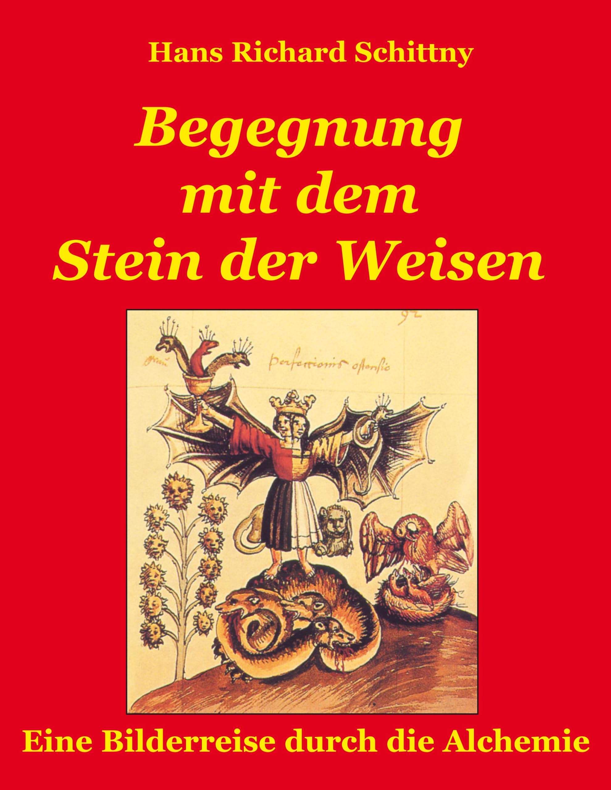 Begegnung mit dem Stein der Weisen book