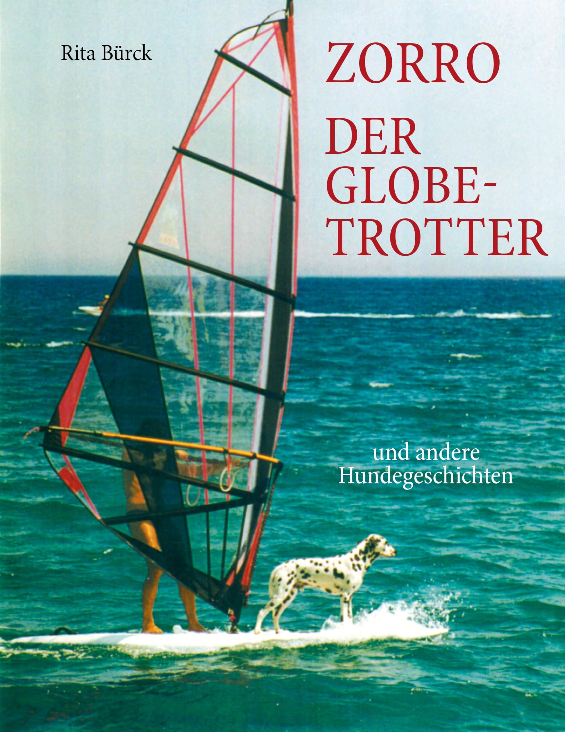 Zorro - der Globetrotter und andere Hundegeschichten Contemporary literature