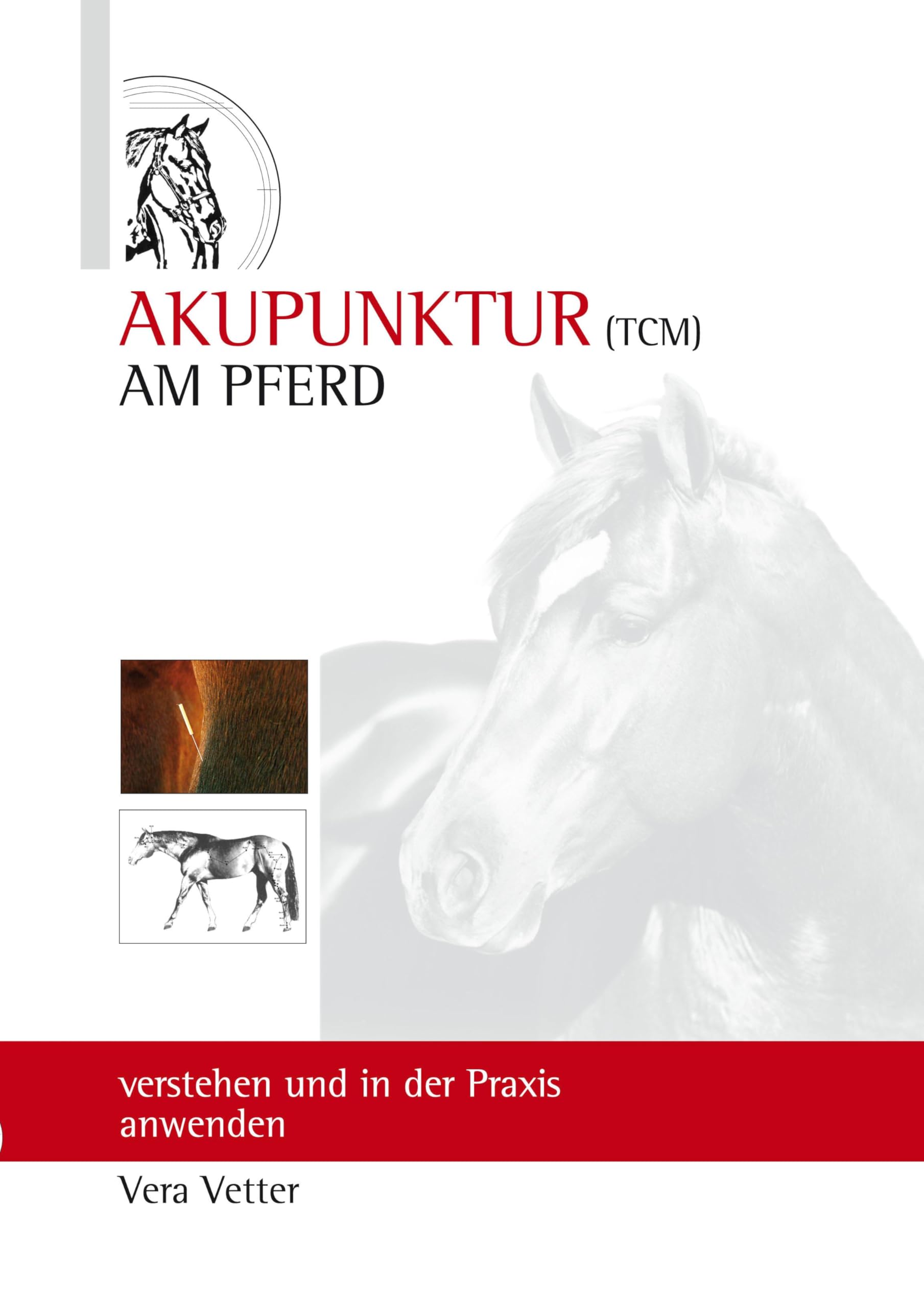 Akupunktur (TCM) am Pferd: verstehen und in der Praxis anwenden Medicine