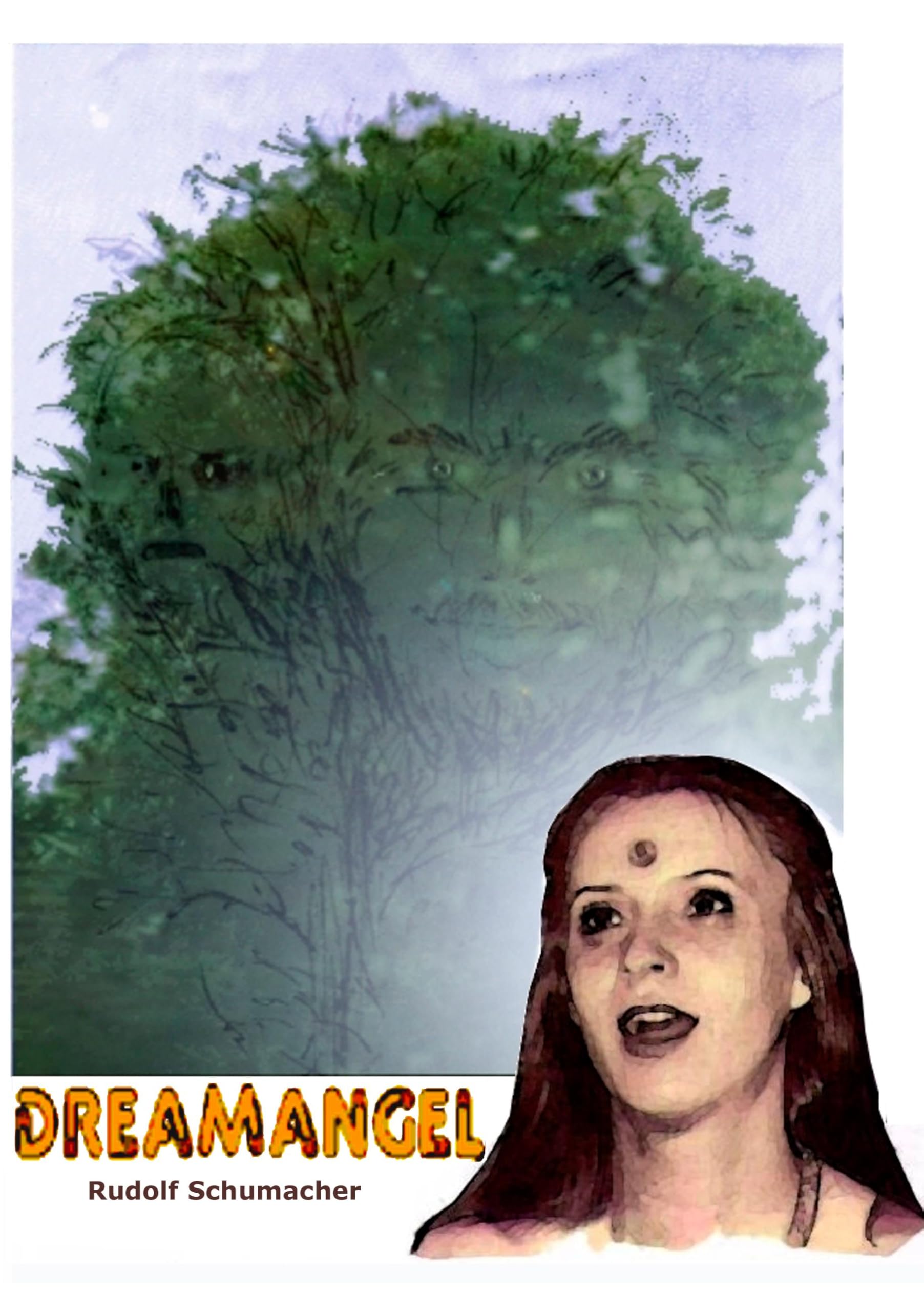 Dreamangel Contemporary literature Books