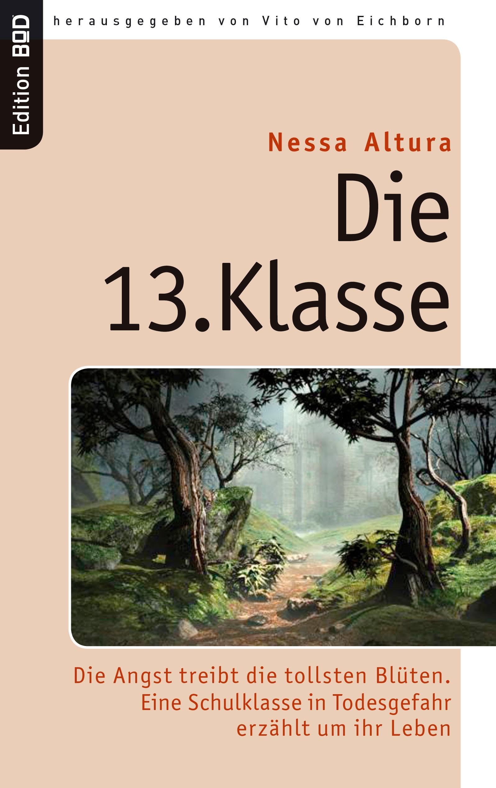 Product Image: Die 13. Klasse