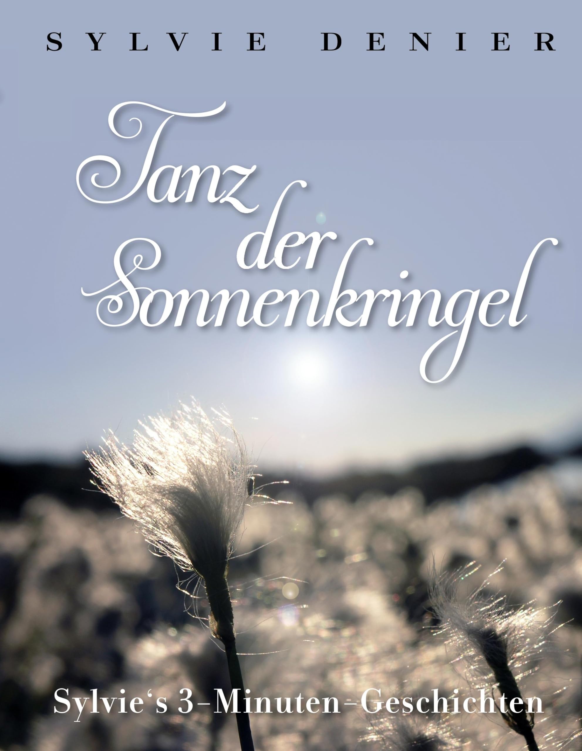 Tanz der Sonnenkringel: Sylvie's 3-Minuten-Geschichten Contemporary literature