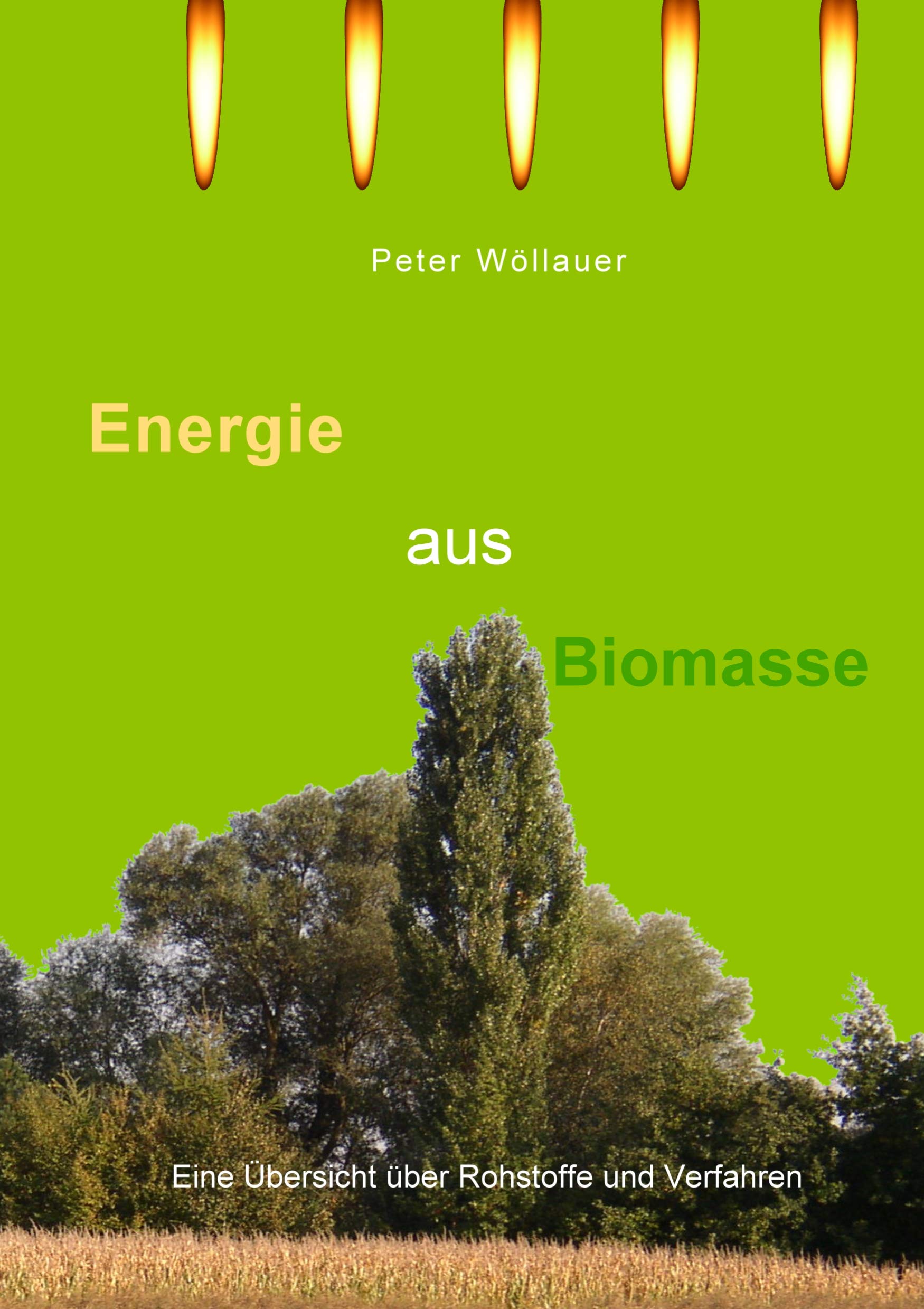 Energie aus Biomasse: Eine Übersicht über Rohstoffe und Verfahren Business & Technology