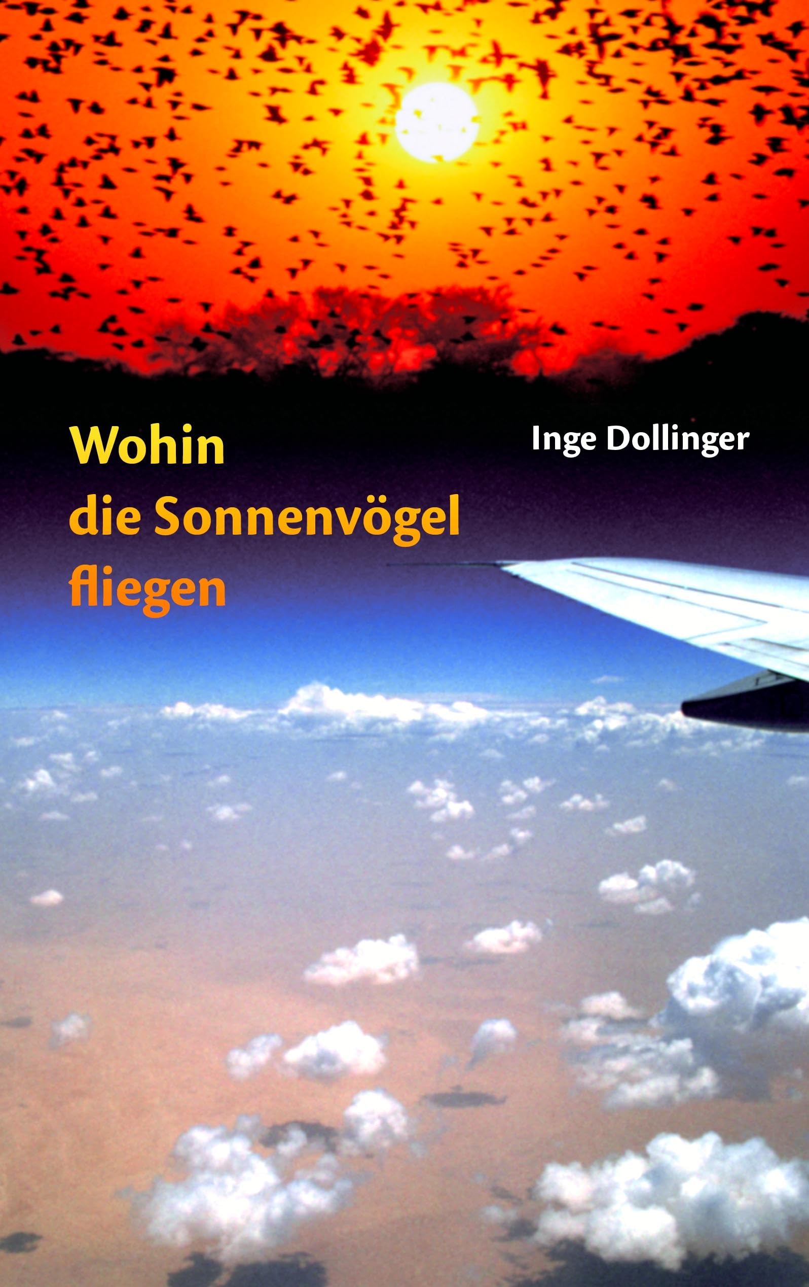 Wohin die Sonnenvögel fliegen Contemporary literature