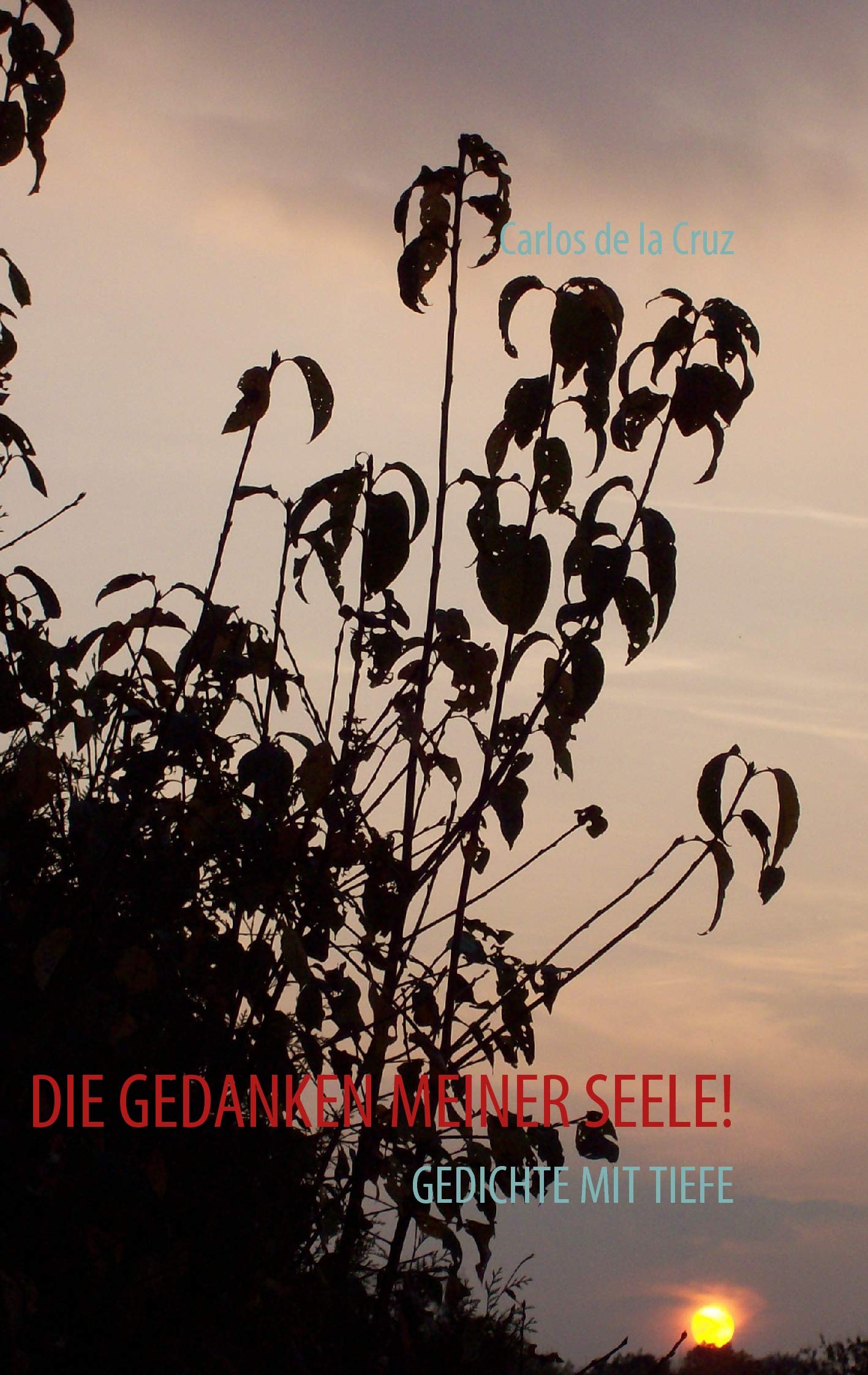 DIE GEDANKEN MEINER SEELE! Poetry