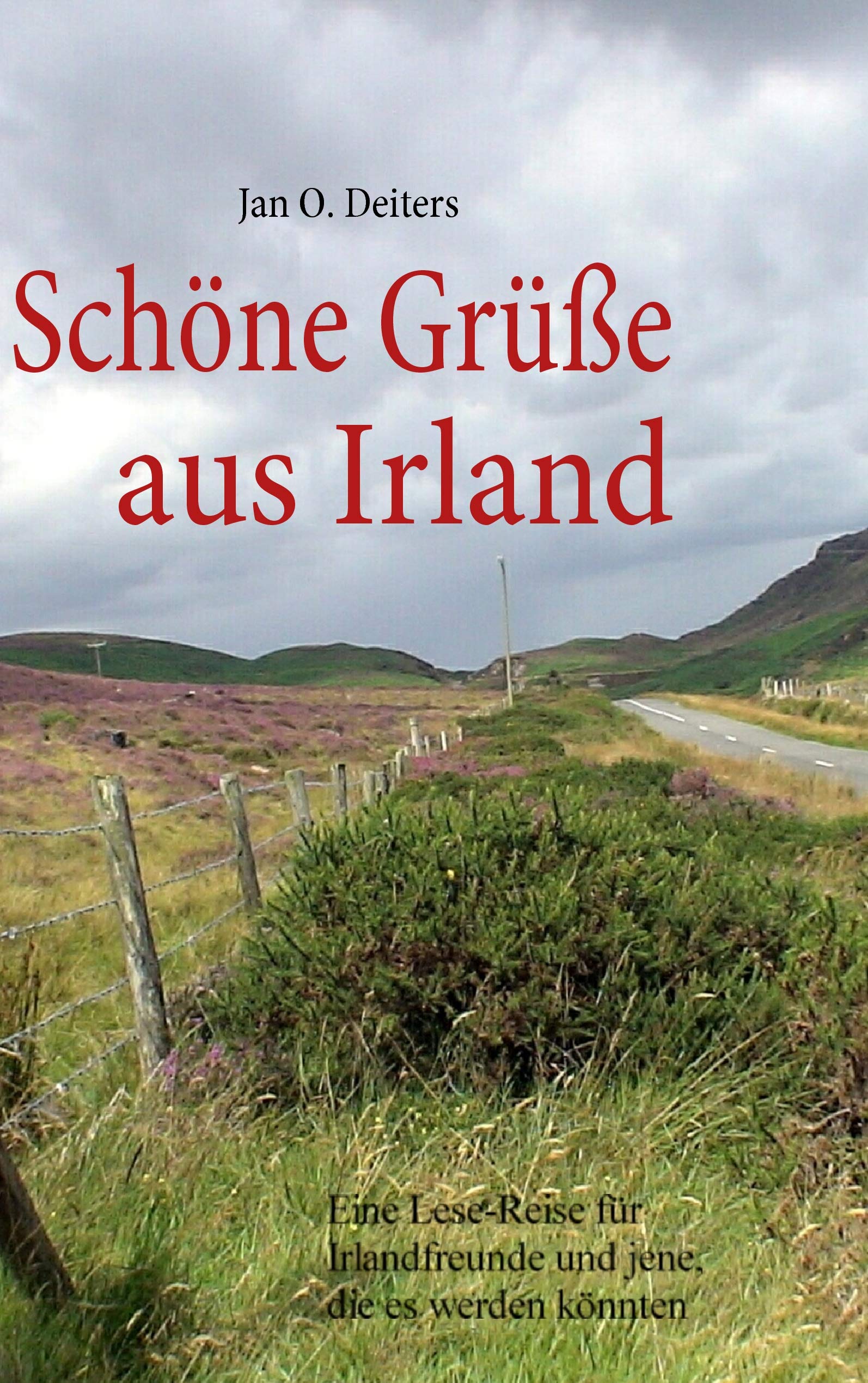 Schöne Grüße aus Irland: Eine Lese-Reise für Irlandfreunde und jene, die es werden könnten Contemporary literature