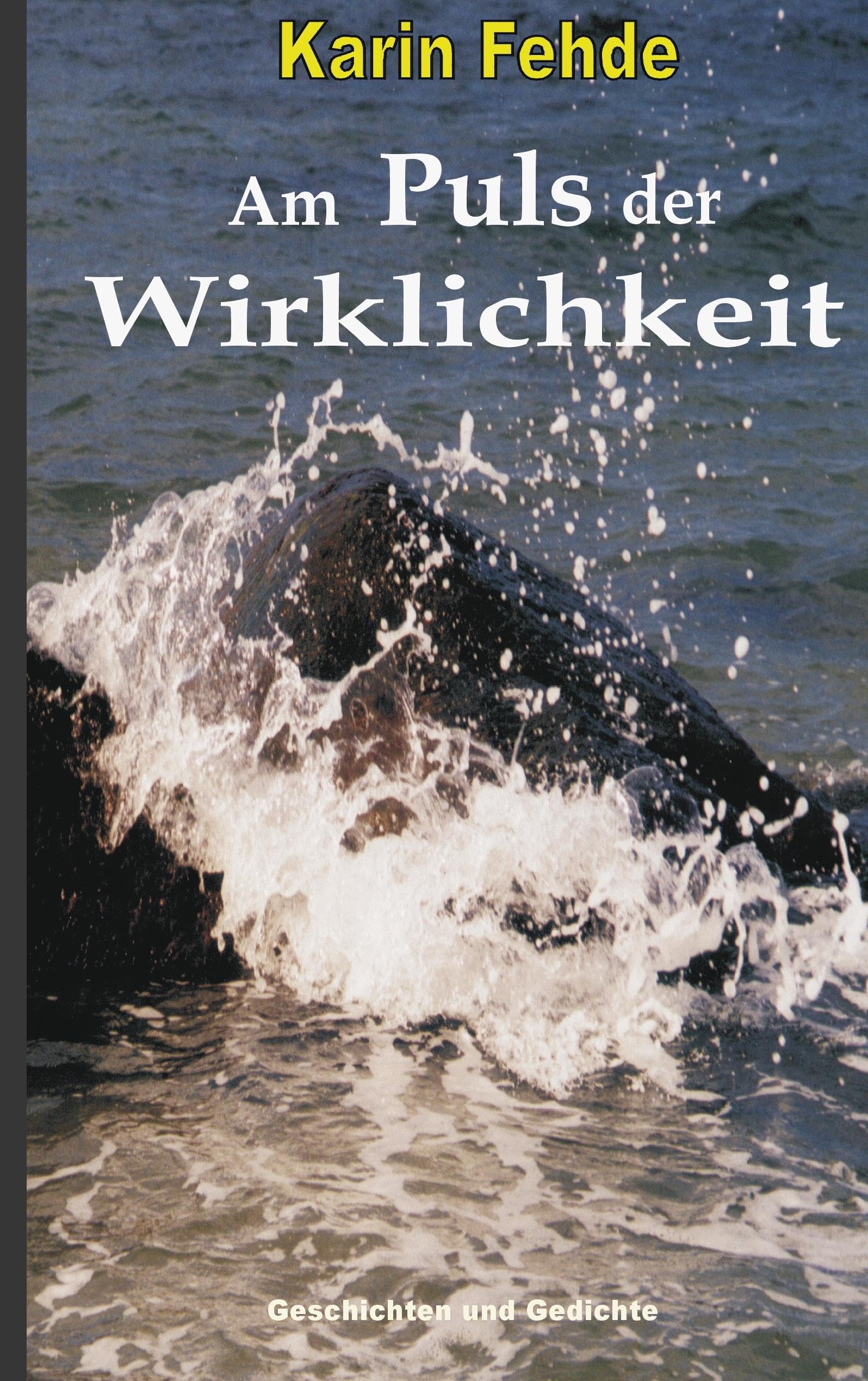 Am Puls der Wirklichkeit: Geschichten und Gedichte Poetry
