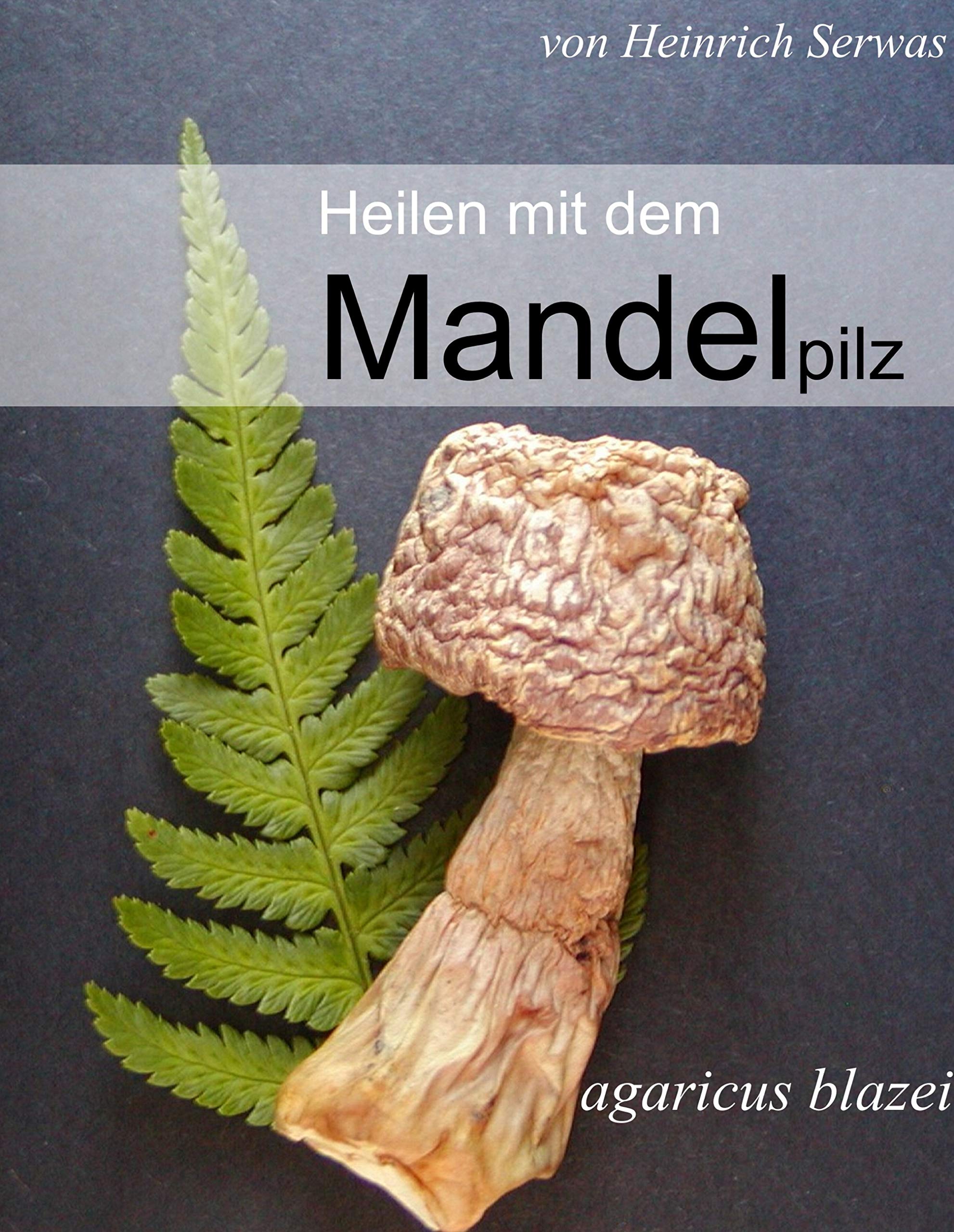 Heilen mit dem Mandelpilz: Agaricus blazei Medicine