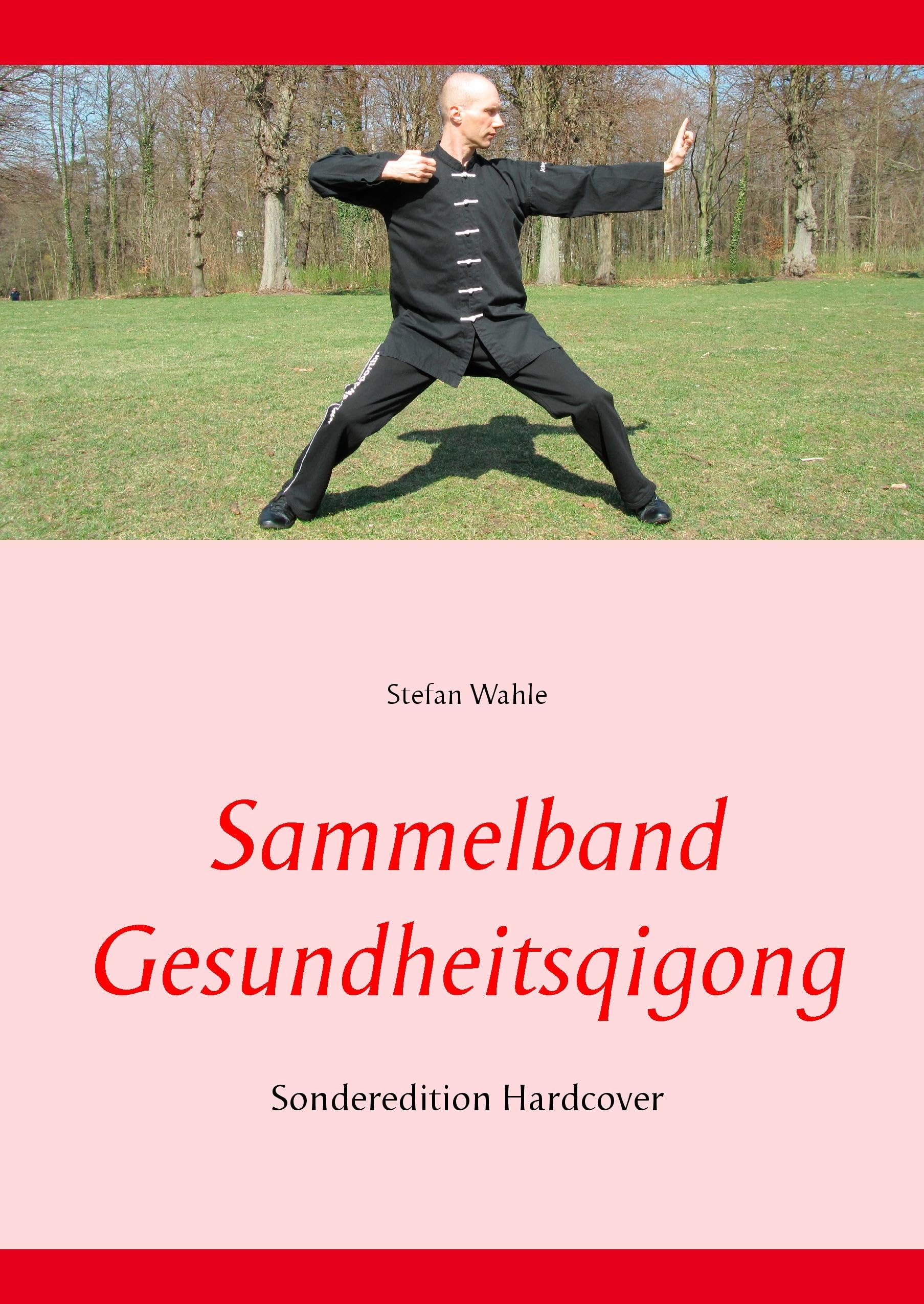 Sammelband Gesundheitsqigong Medicine