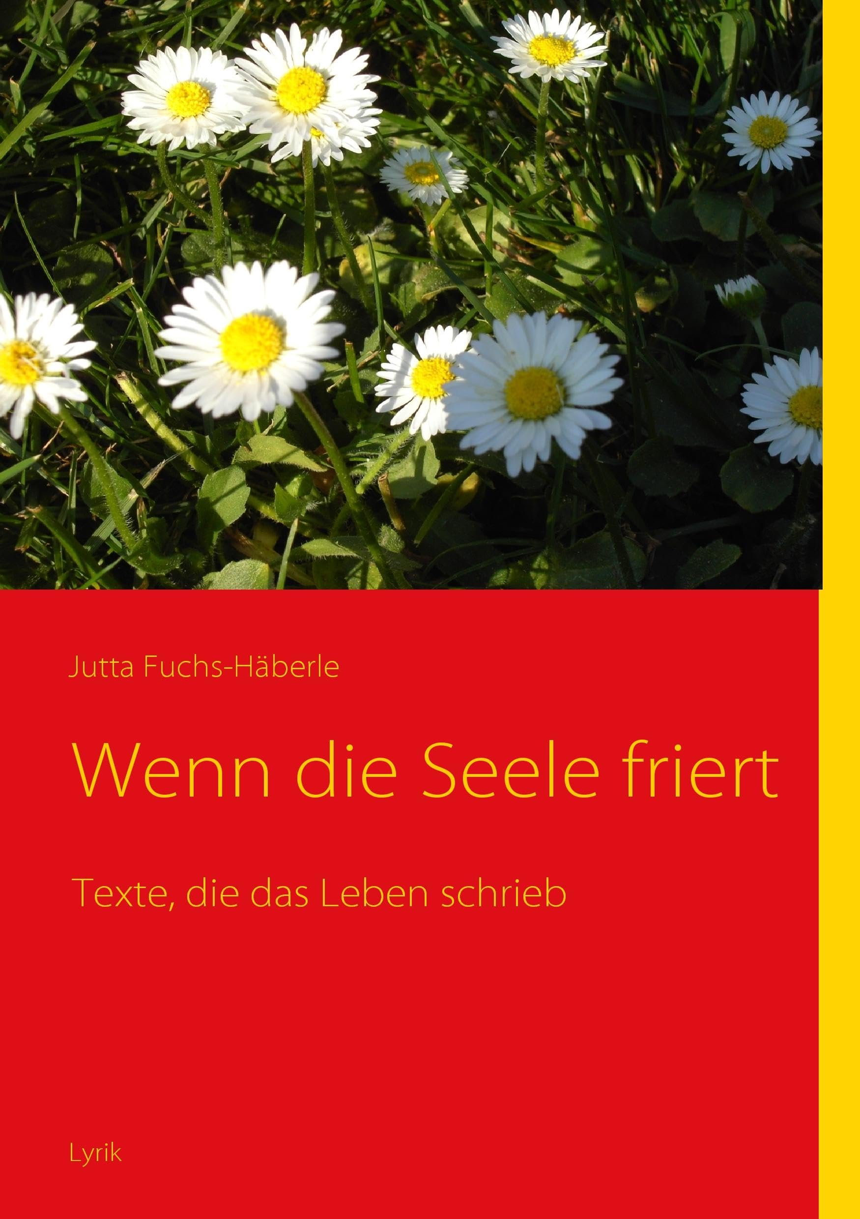 Wenn die Seele friert: Texte, die das Leben schrieb Psychology