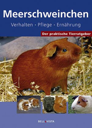 Meerschweinchen: Verhalten, Pflege, Ernährung Pets