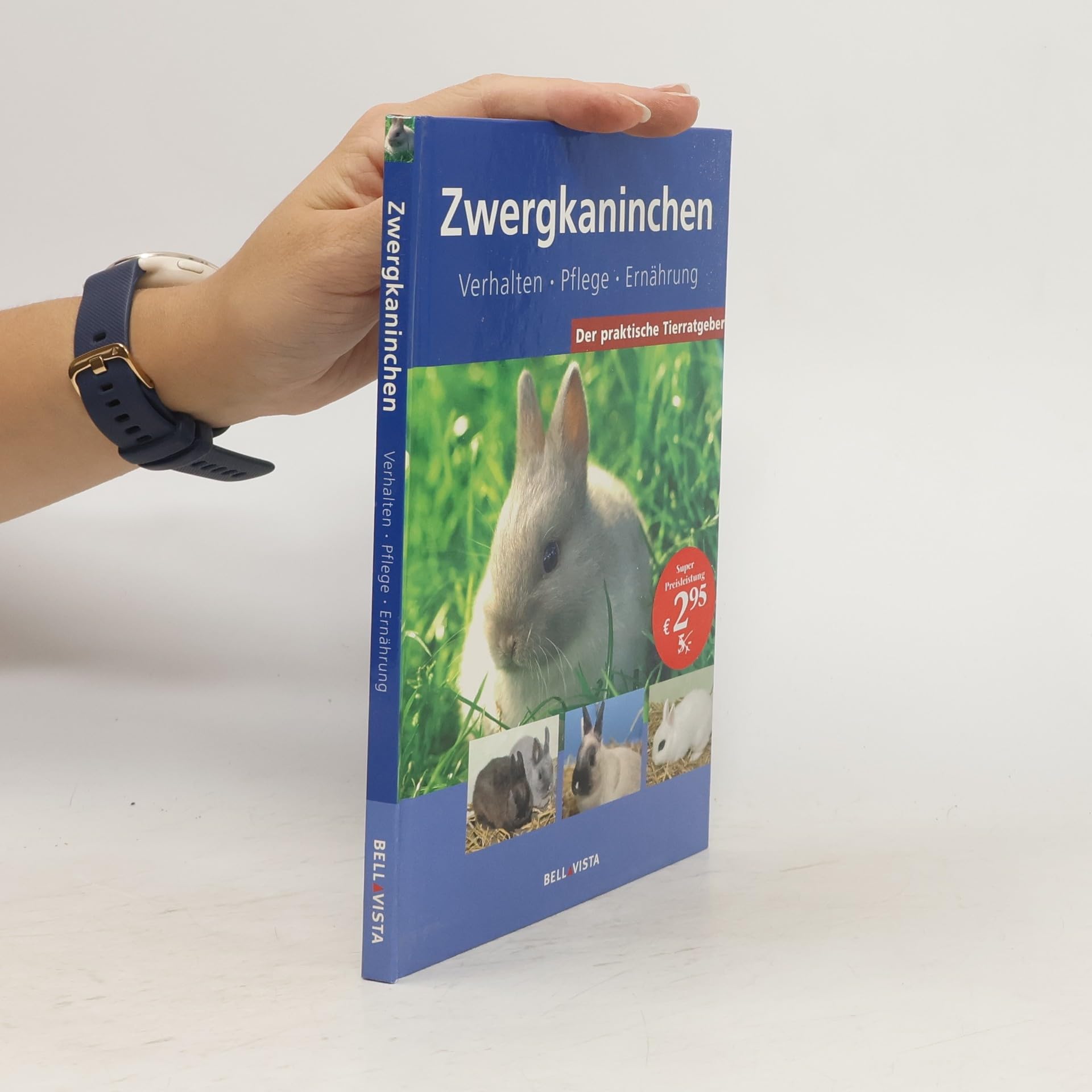 Zwergkaninchen: Verhalten, Pflege, Ernährung Politics & History