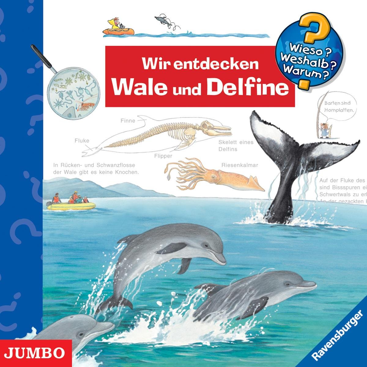 Wir entdecken Wale und Delfine Non-fiction