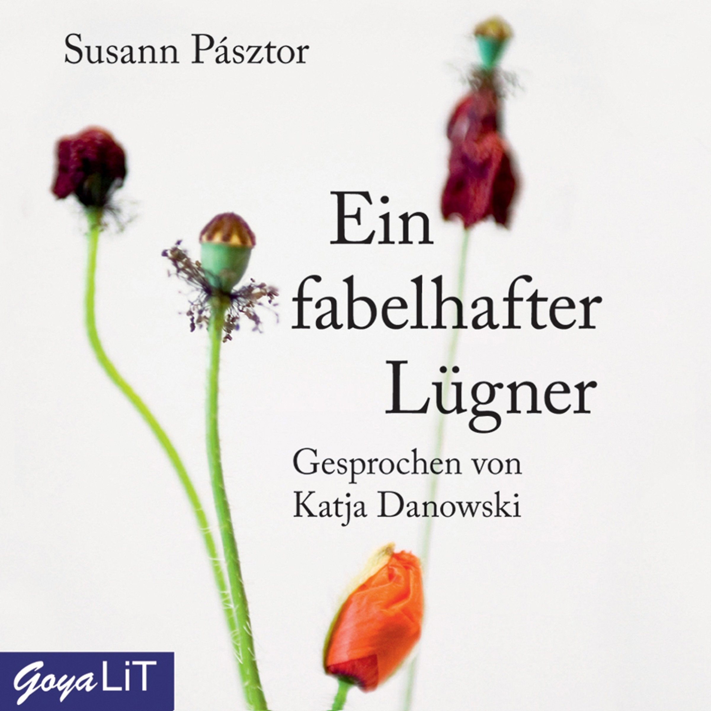 Ein fabelhafter Lügner: Ungekürzte Lesung Contemporary literature