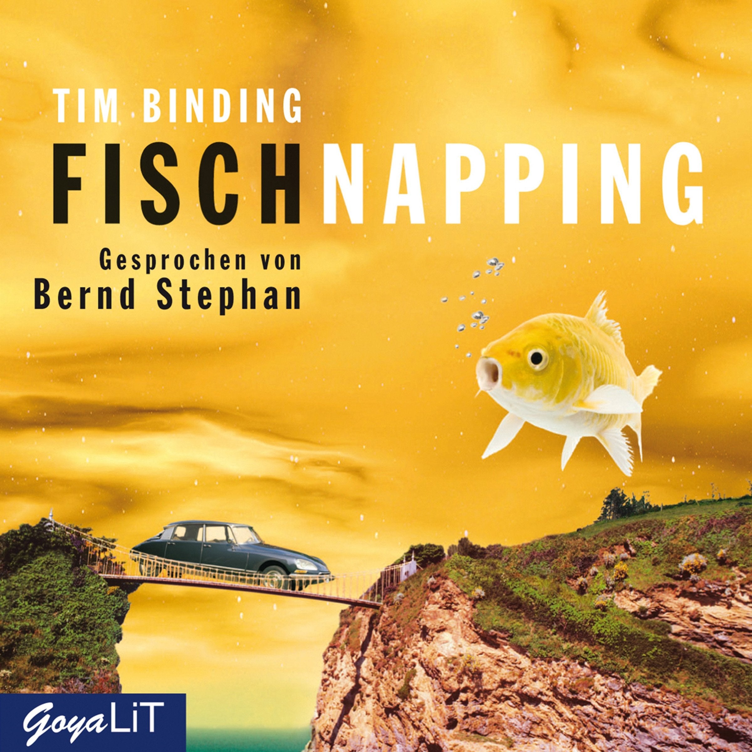 Fischnapping Contemporary literature Books