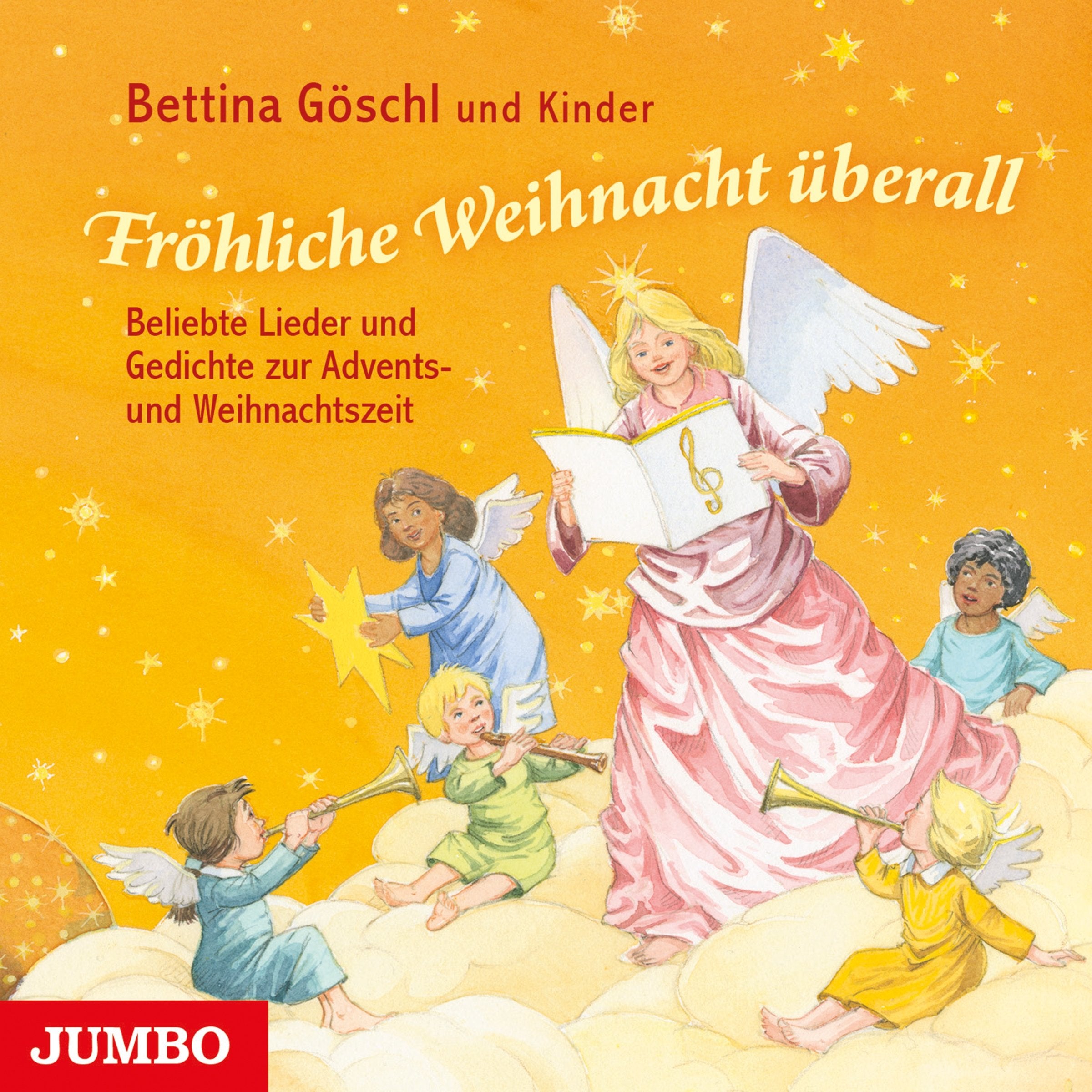 Fröhliche Weihnacht überall: Beliebte und bekannte Advents- und Weihnachtslieder Non-fiction