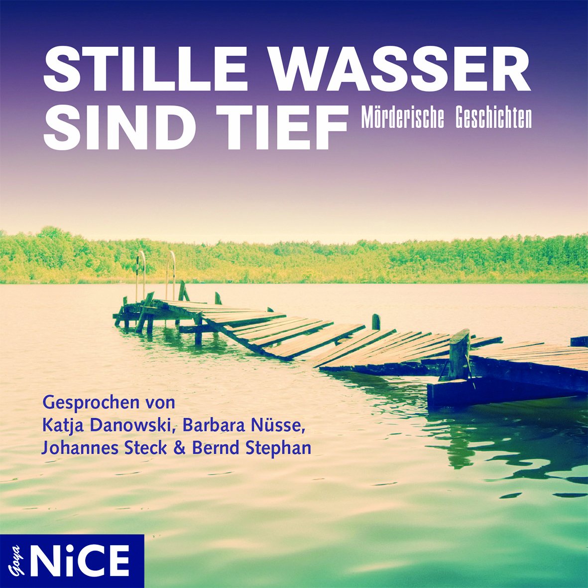 Stille Wasser sind tief: Mörderische Geschichten (Goya NICE) Contemporary literature