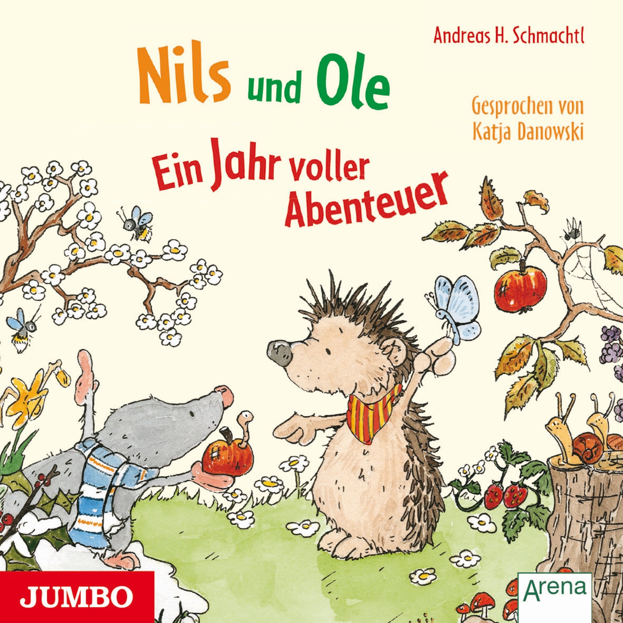 Nils und Ole: Ein Jahr voller Abenteuer Novels & Short Stories