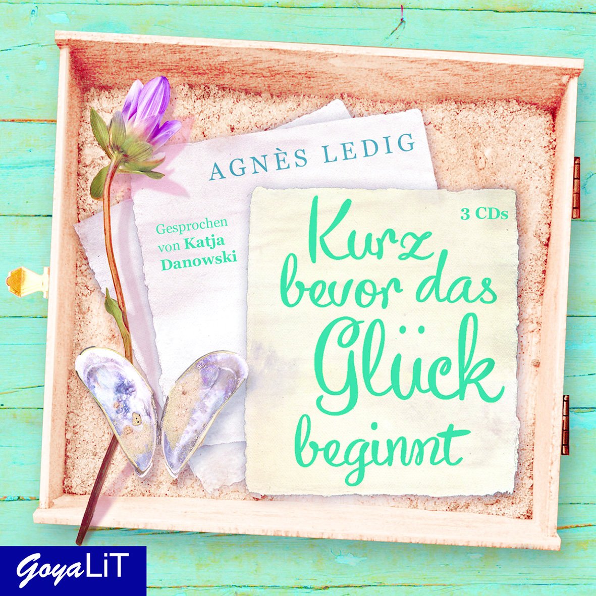 Kurz bevor das Glück beginnt Contemporary literature Books