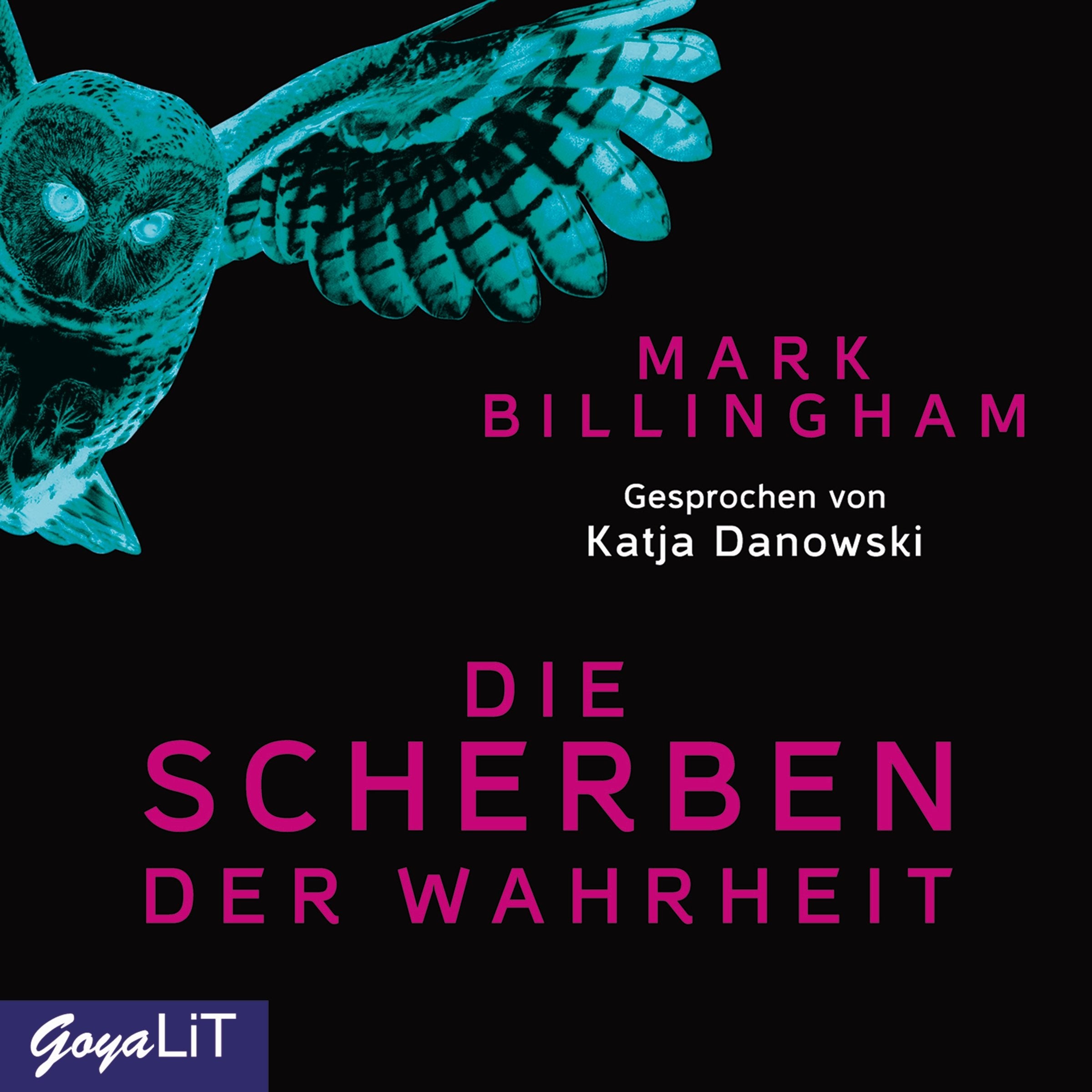Die Scherben der Wahrheit Contemporary literature