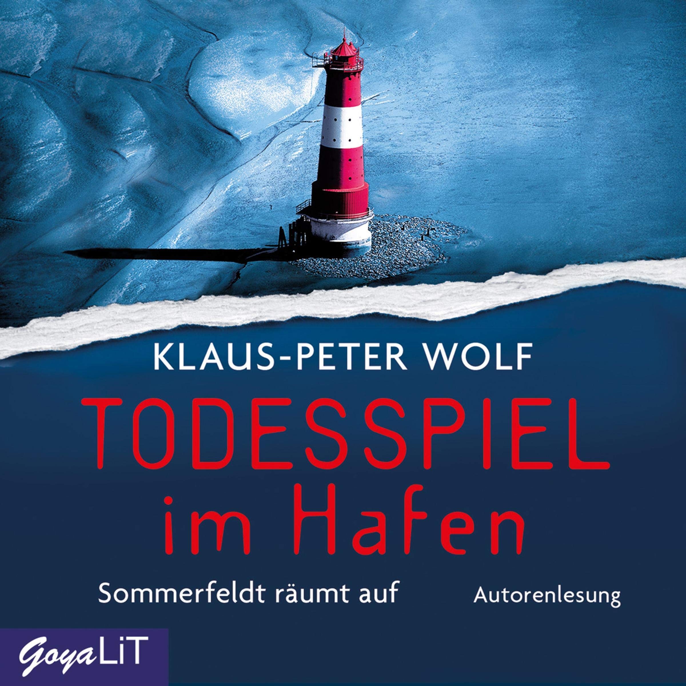 Todesspiel im Hafen: Sommerfeldt räumt auf (Dr. Sommerfeldt) Contemporary literature