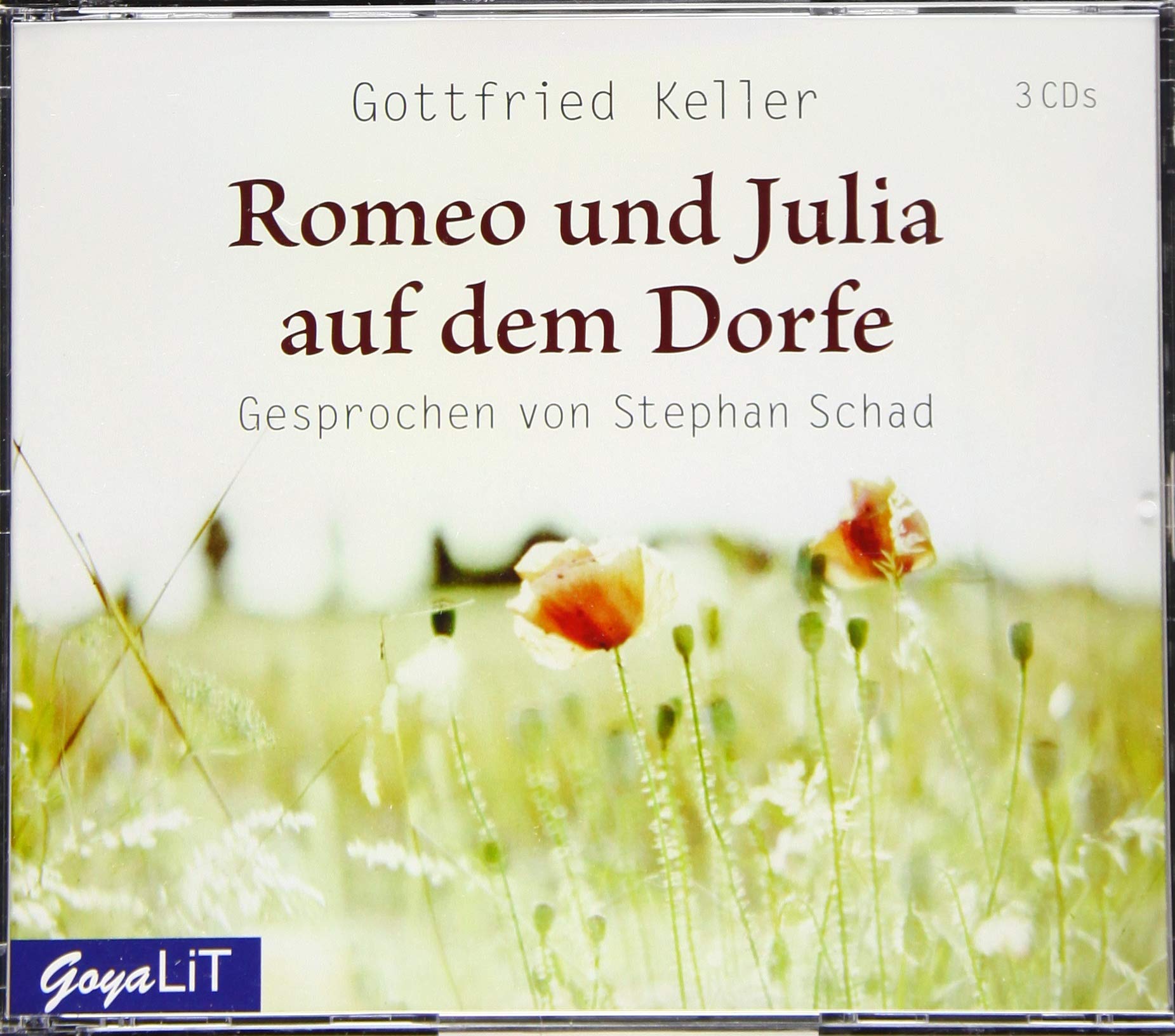 Romeo und Julia auf dem Dorfe Contemporary literature
