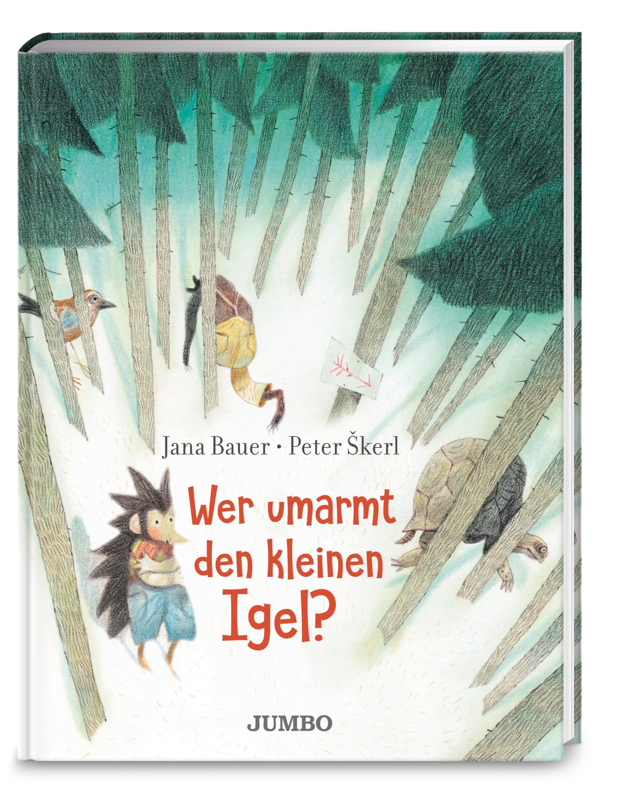 Product Image: Wer umarmt den kleinen Igel?