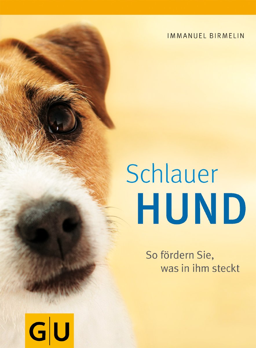 Schlauer Hund. So fördern Sie, was in ihm steckt Pets