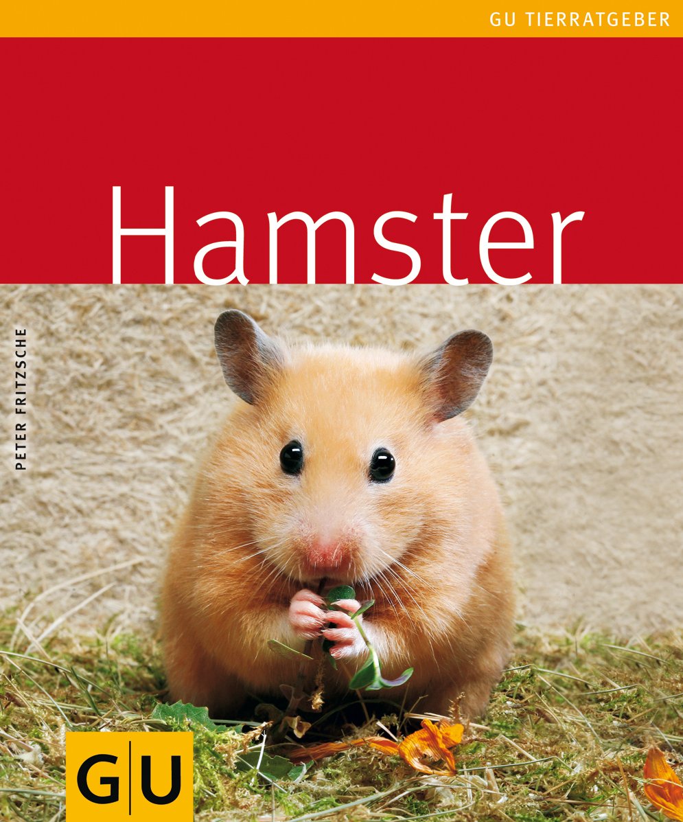 Hamster Pets