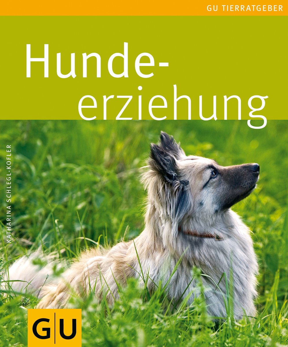 Hunde-Erziehung Pets