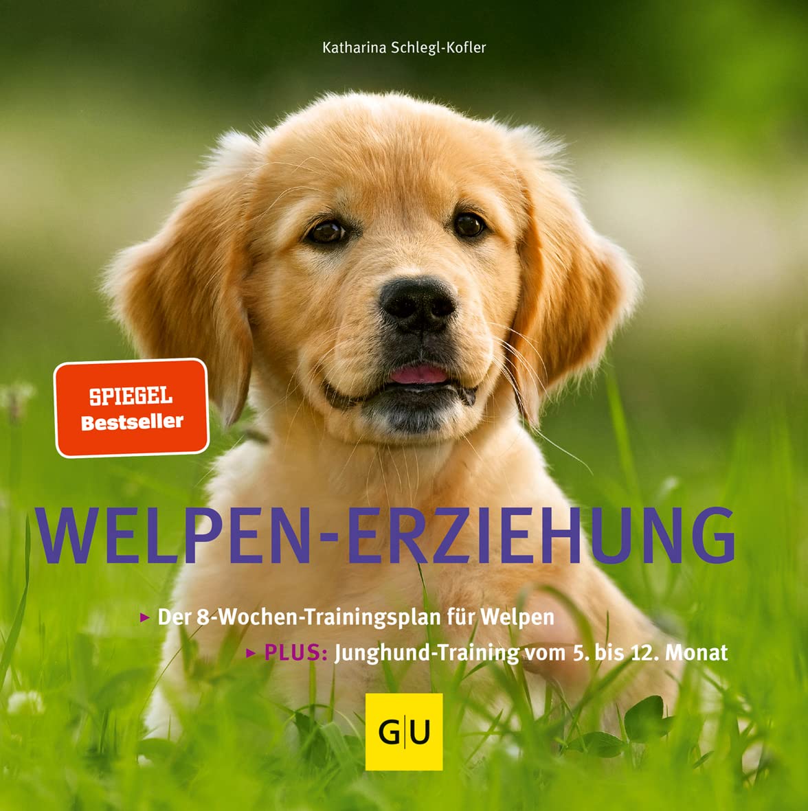 Welpen-Erziehung Pets