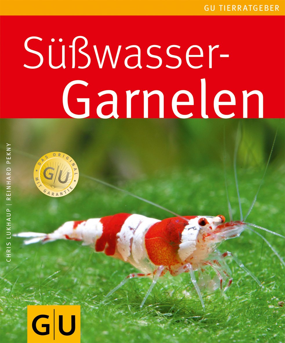 Süßwasser-Garnelen Pets