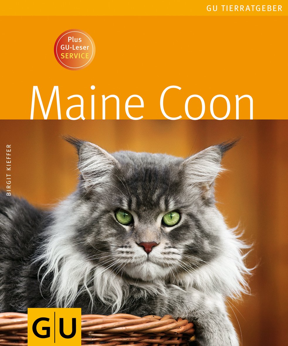 Maine Coon Pets