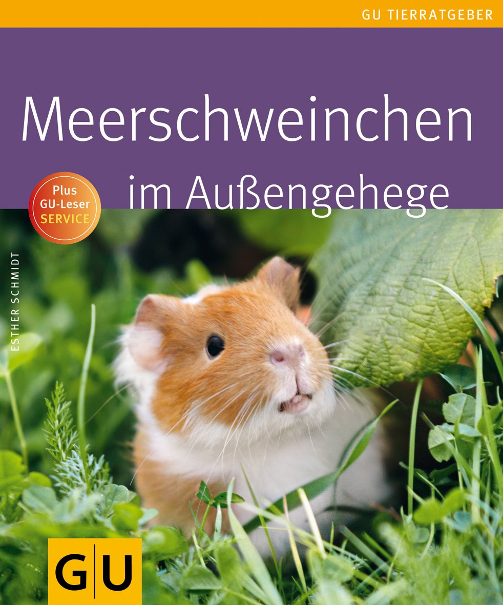 Meerschweinchen im Außengehege Pets