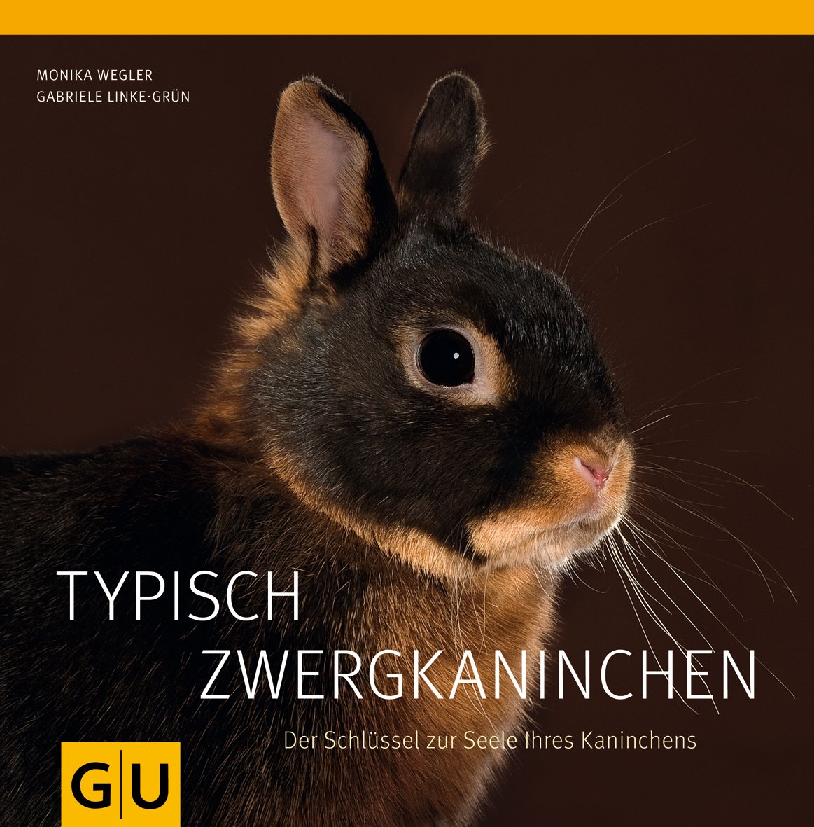 Typisch Zwergkaninchen: Der Schlüssel zur Seele Ihres Kaninchens Pets