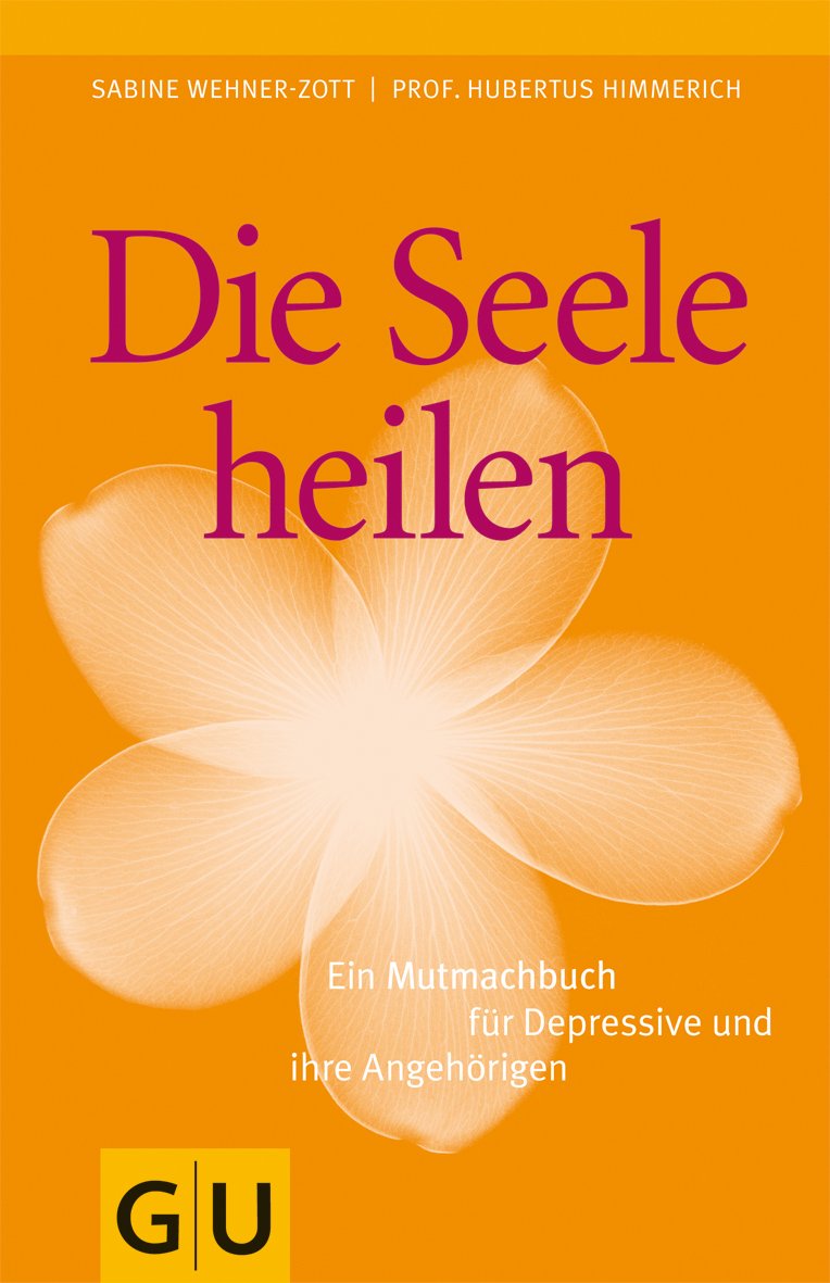 Die Seele heilen- Ein Mutmachbuch für Depressive und ihre Angehörigen Health, Nutrition & Fitness