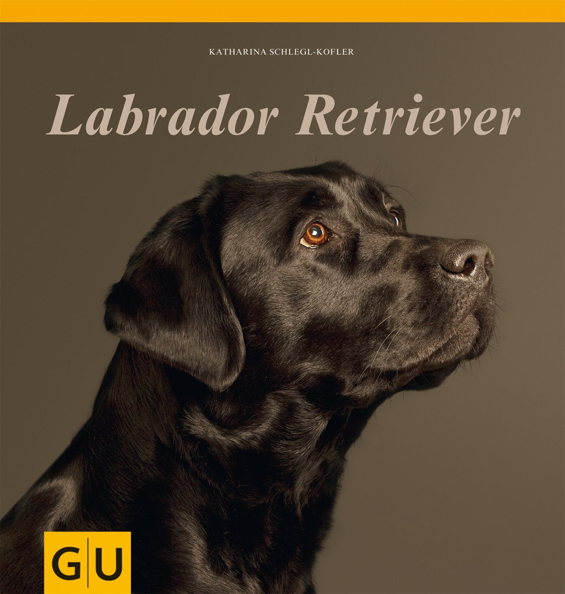 Labrador Retriever Pets