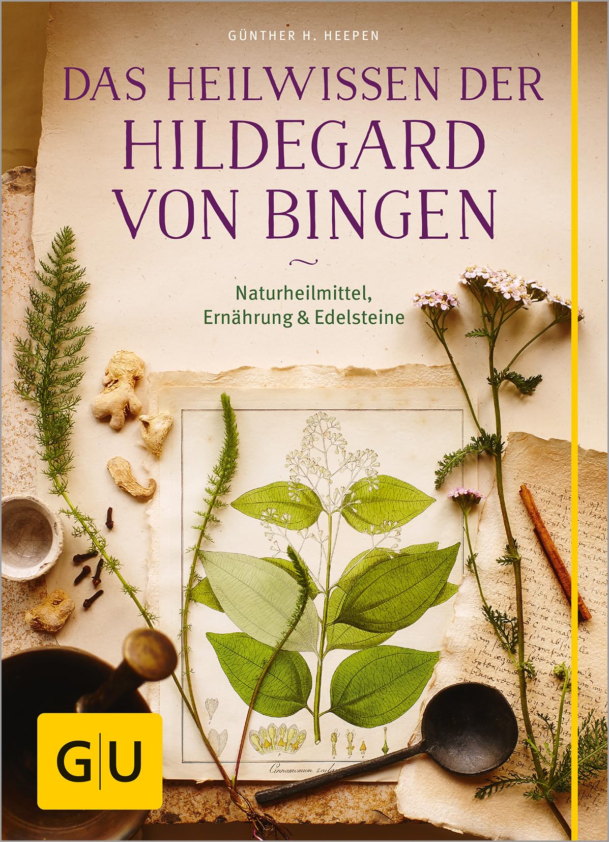 Das Heilwissen der Hildegard von Bingen Medicine