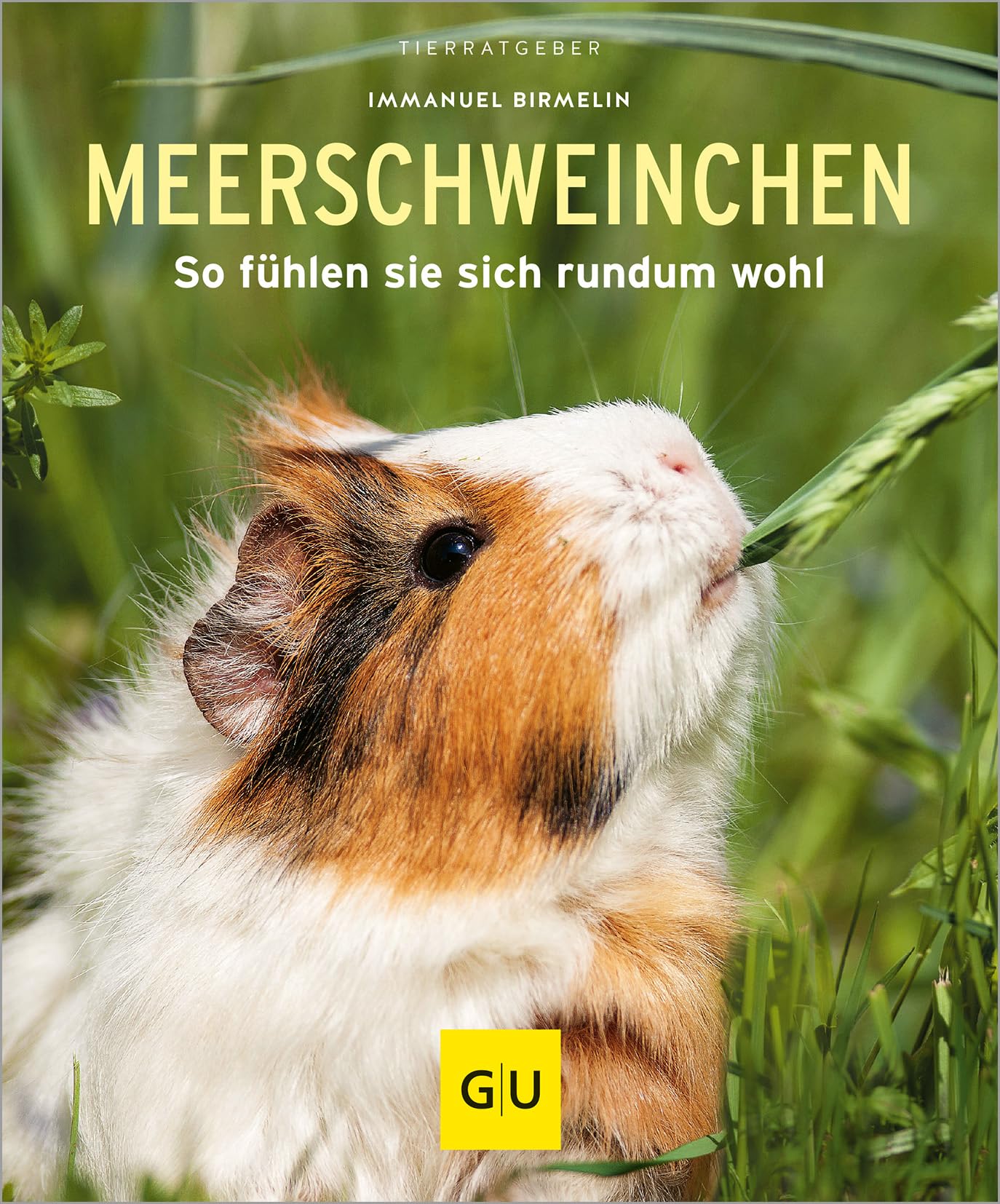 Meerschweinchen: So fühlen sie sich rundum wohl book