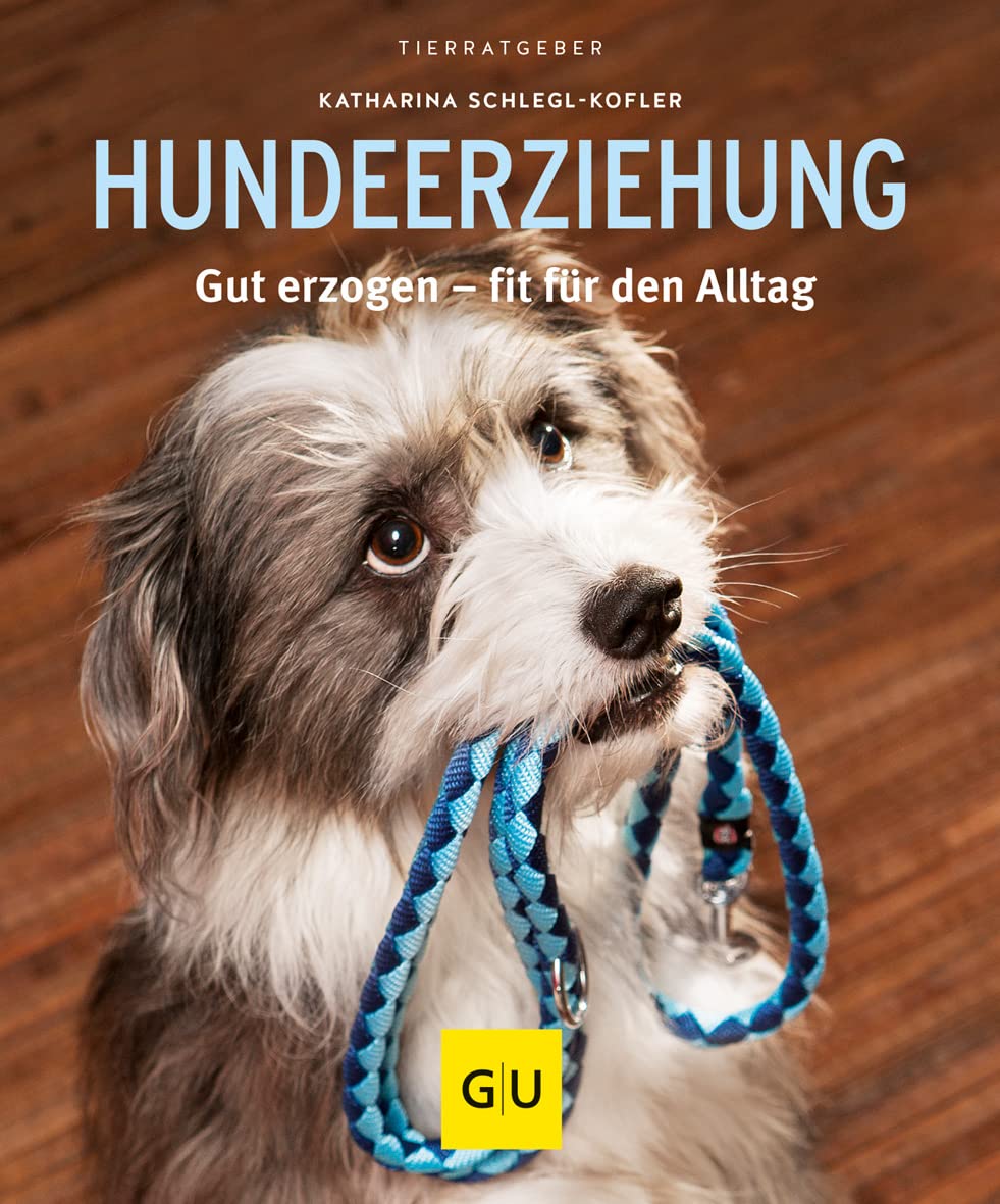 Hundeerziehung Pets