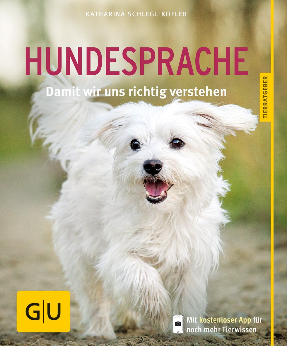 Hundesprache Pets