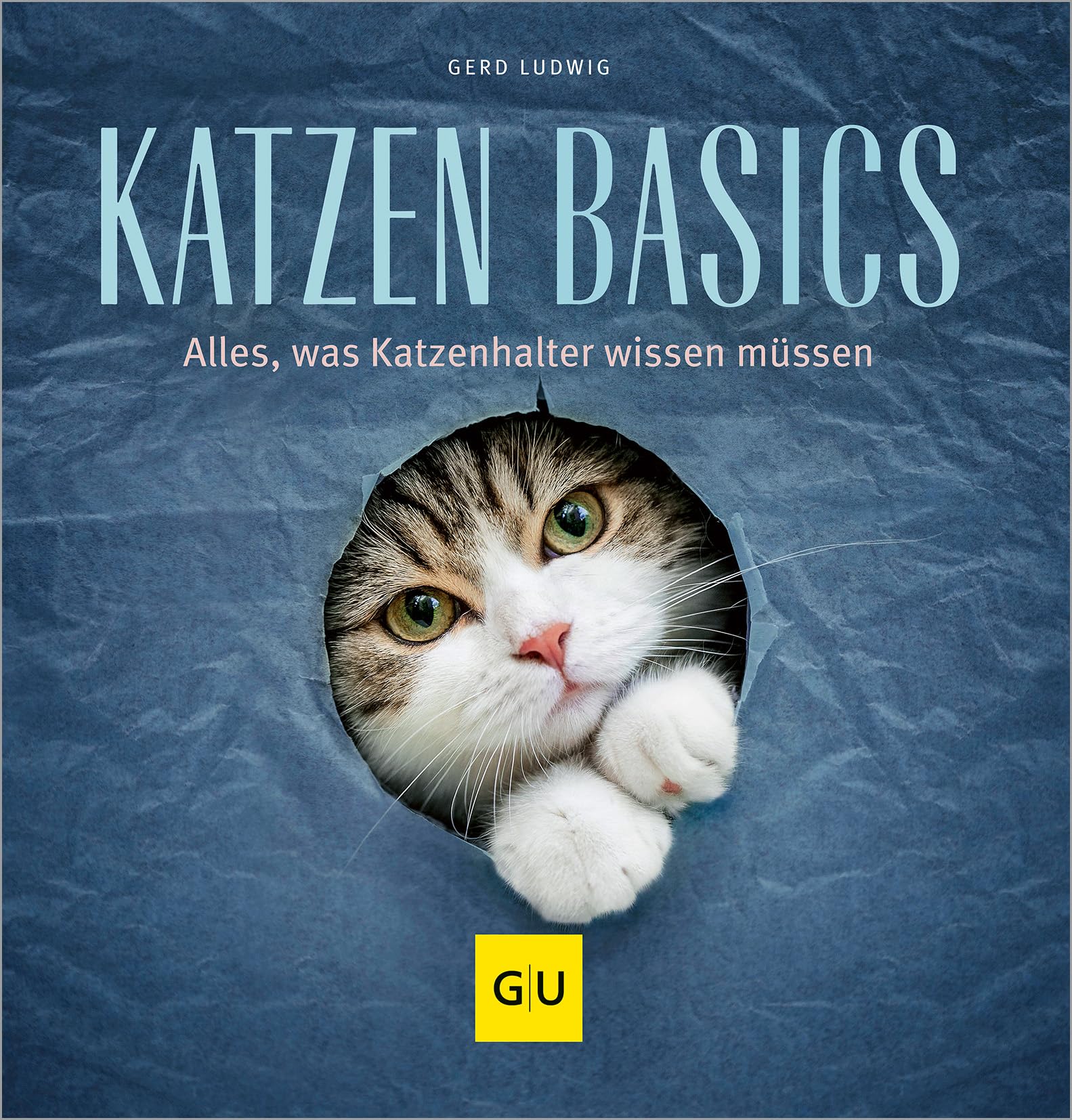 Katzen-Basics Pets