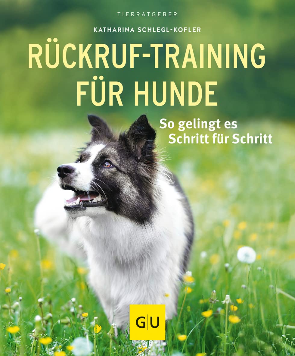 Rückruf-Training für Hunde Pets