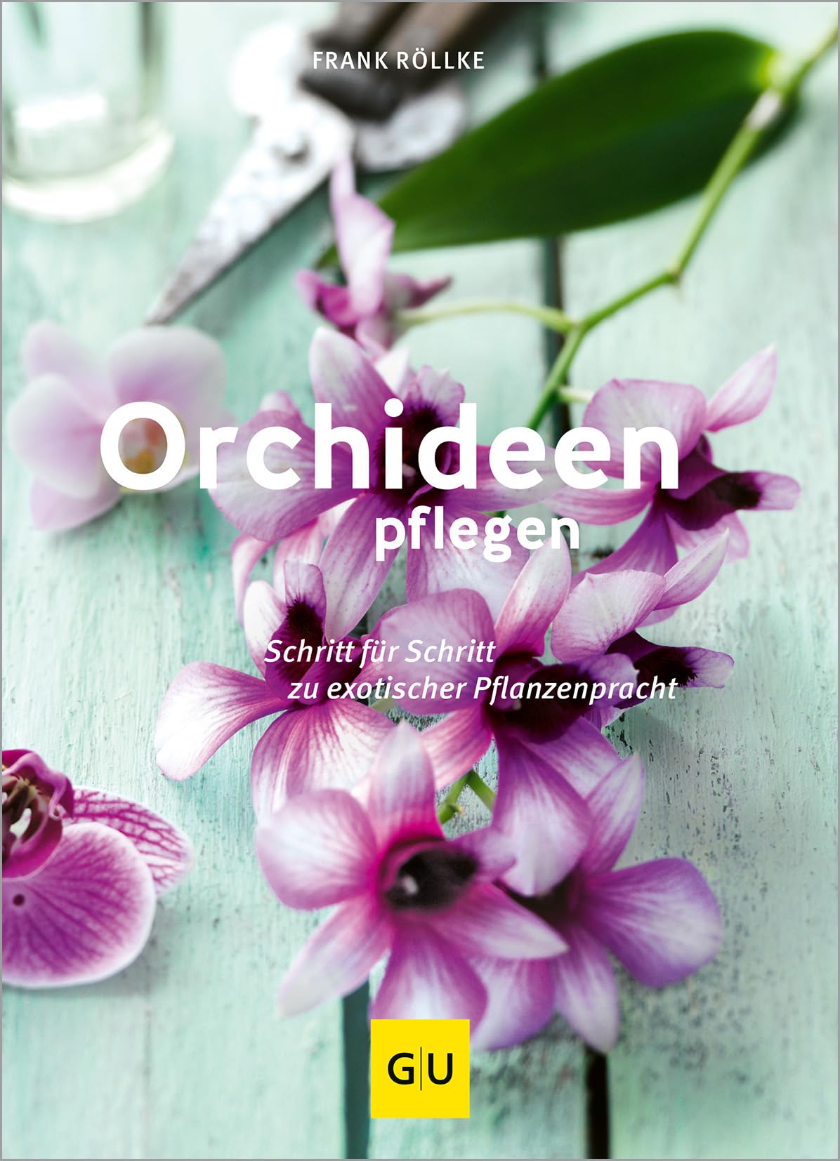 Orchideen pflegen Garden & Plants