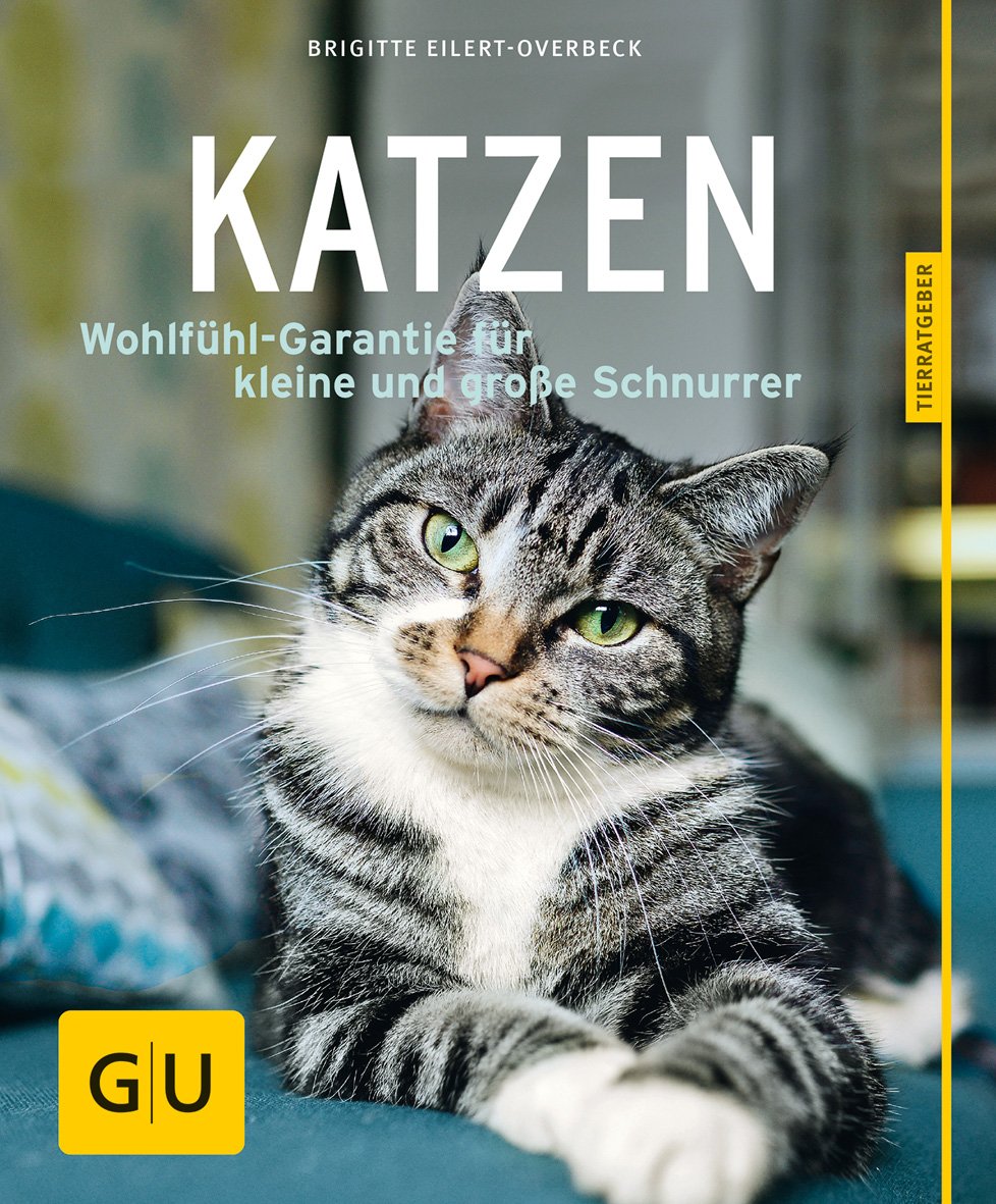 Katzen Pets