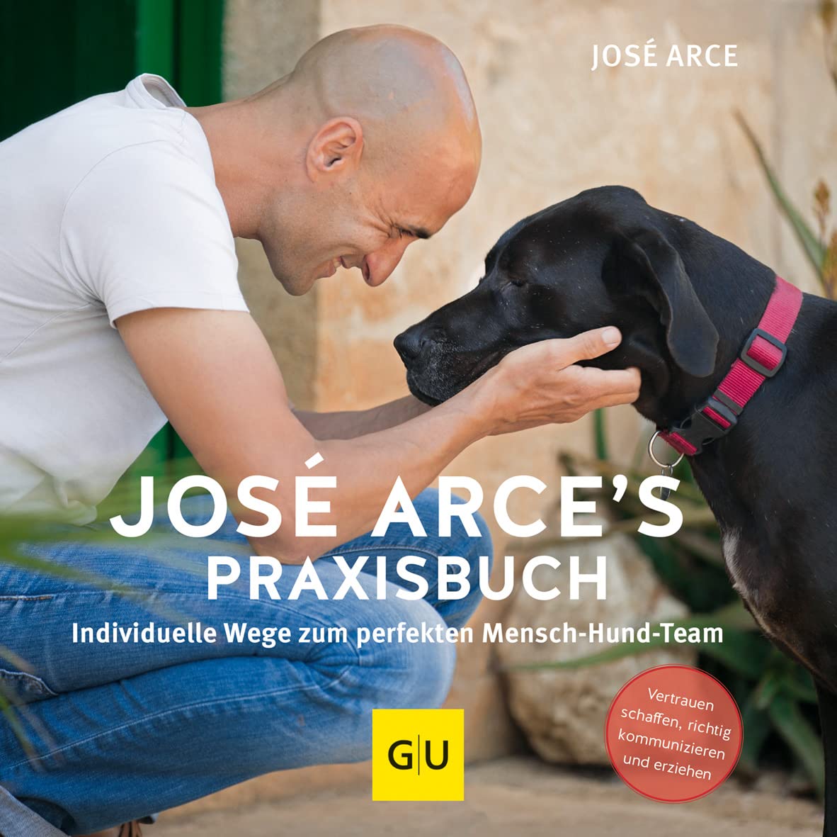 José Arce's Praxisbuch Business, Finance & Career