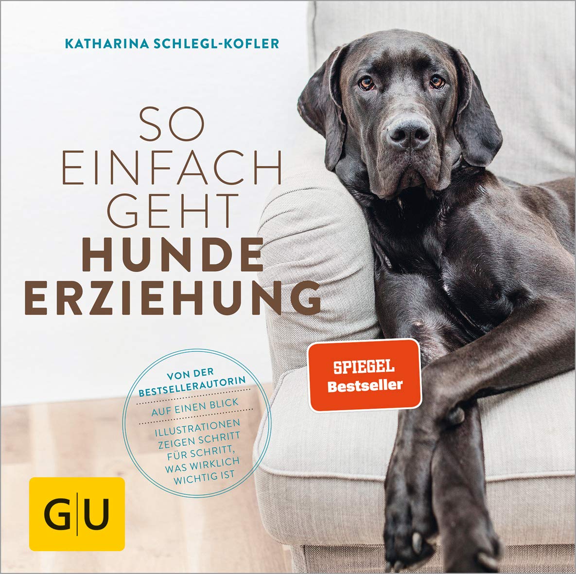 So einfach geht Hundeerziehung Pets